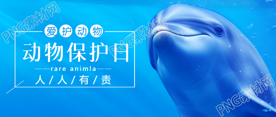 保护动物海洋中自由自在的海豚实景微信公众号首图