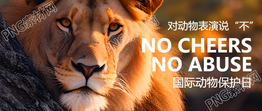 世界動物日對動物表演說不微信公眾號首圖