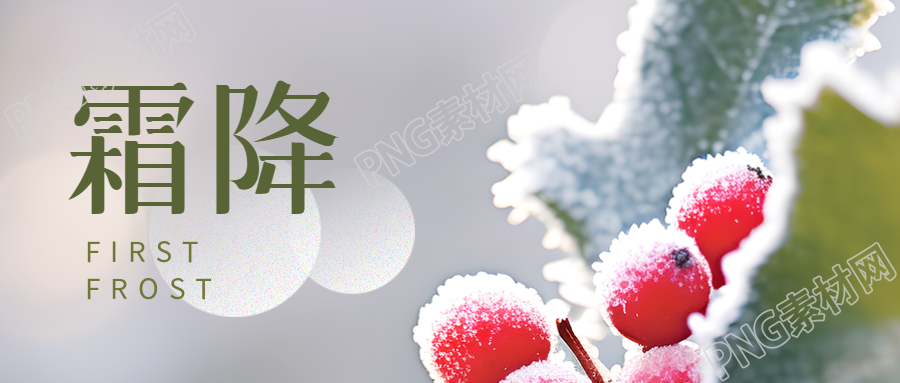 绿叶红果实景霜降节气弥散风微信公众号首图