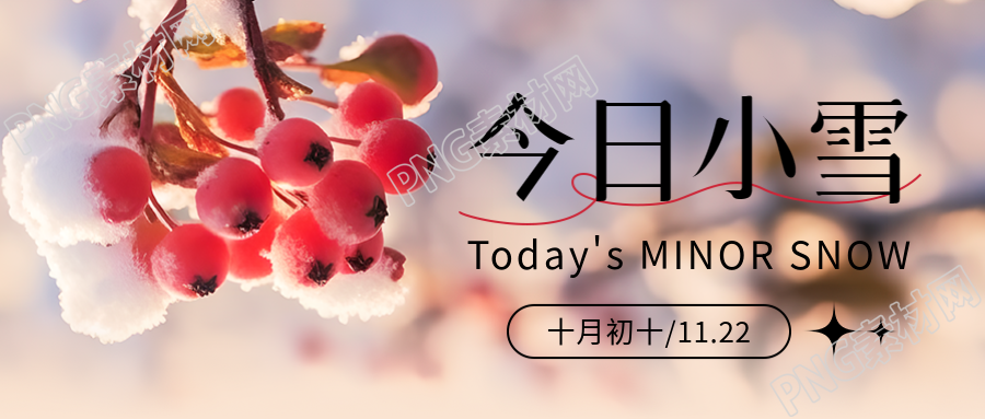 二十四节气小雪红色果实景色微信公众号首图