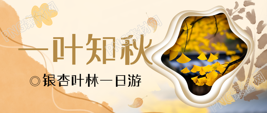 金黄色银杏叶实景一叶知秋唯美微信公众号首图