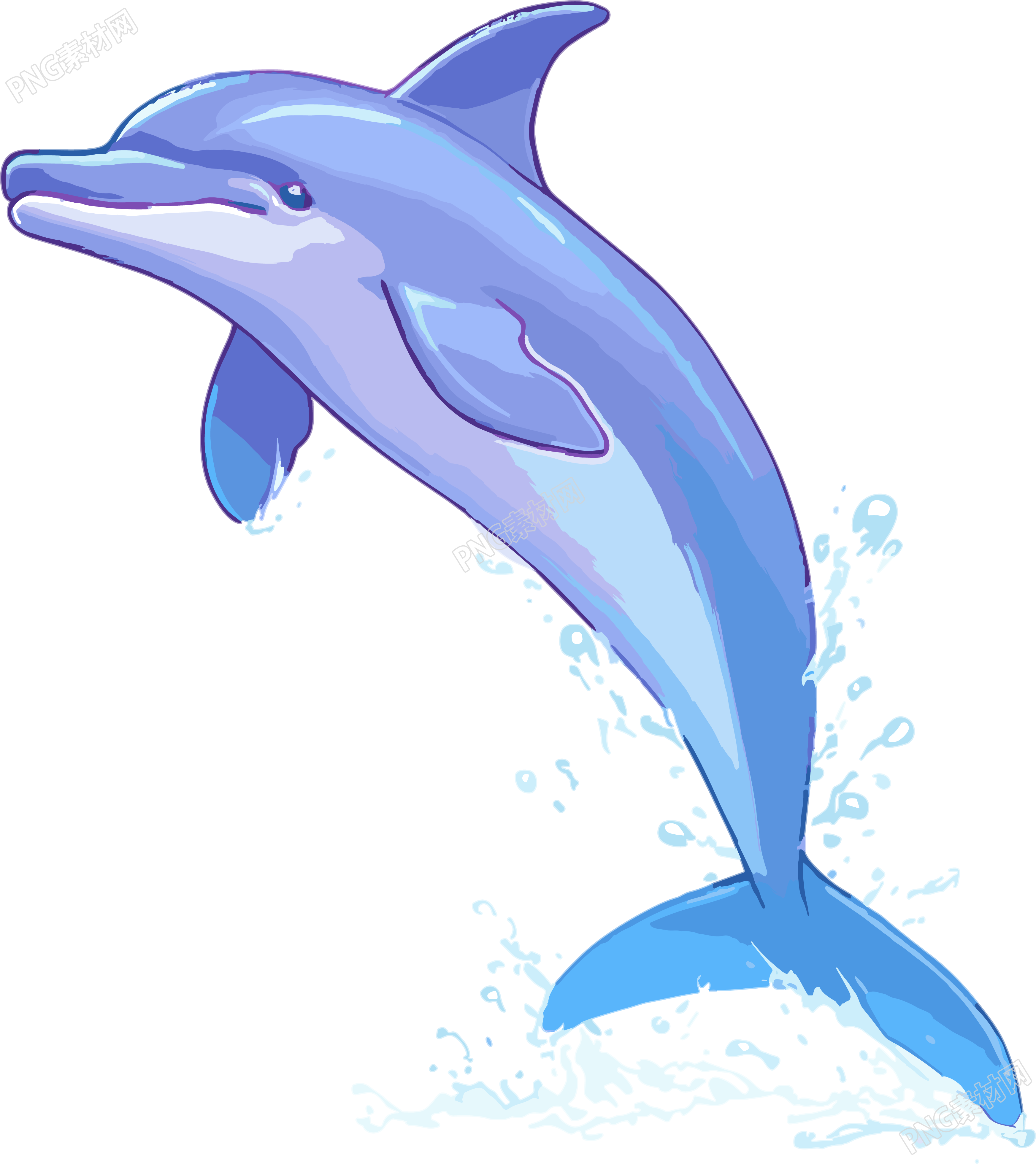 跳跃的海豚透明背景插画素材