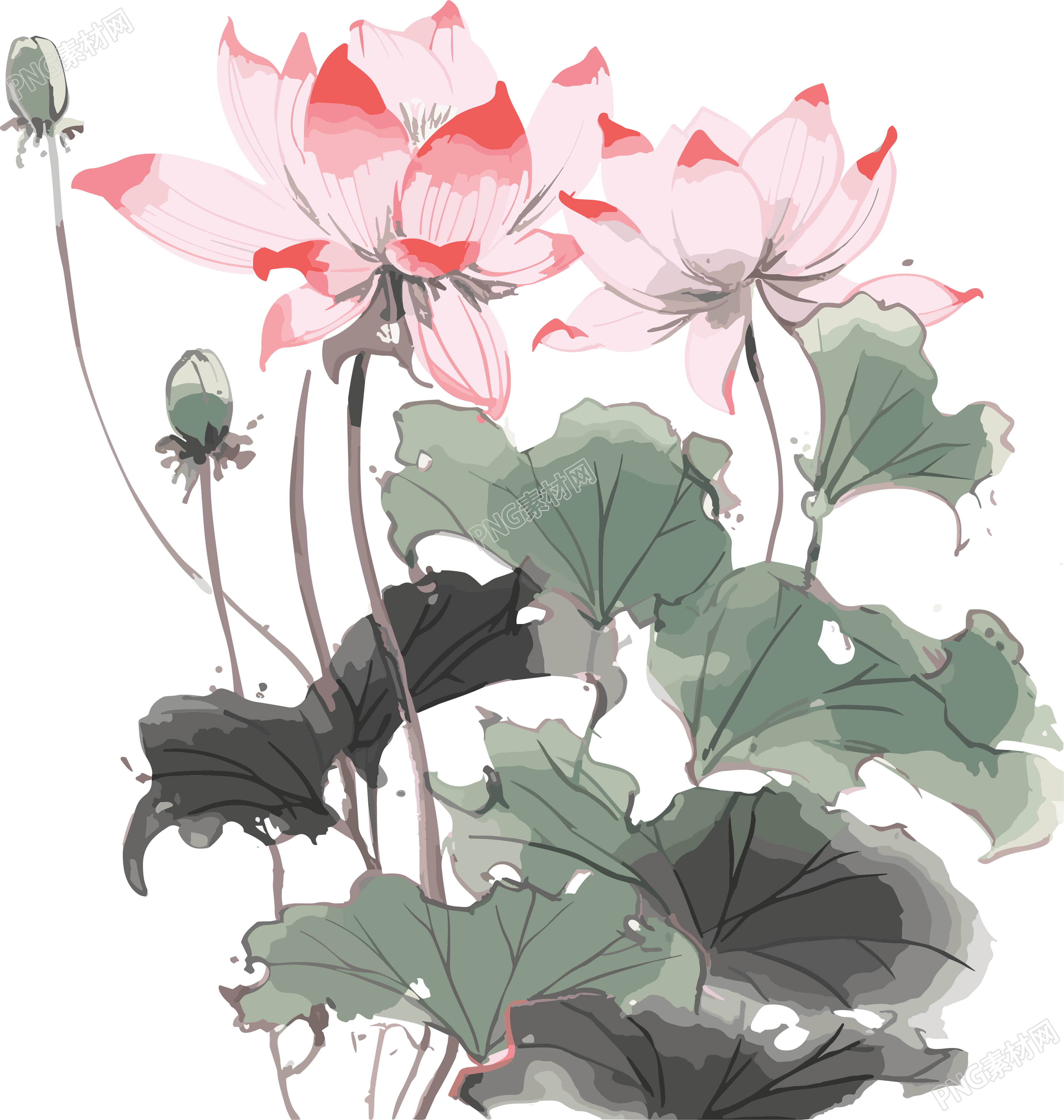 商周风格莲花画插画
