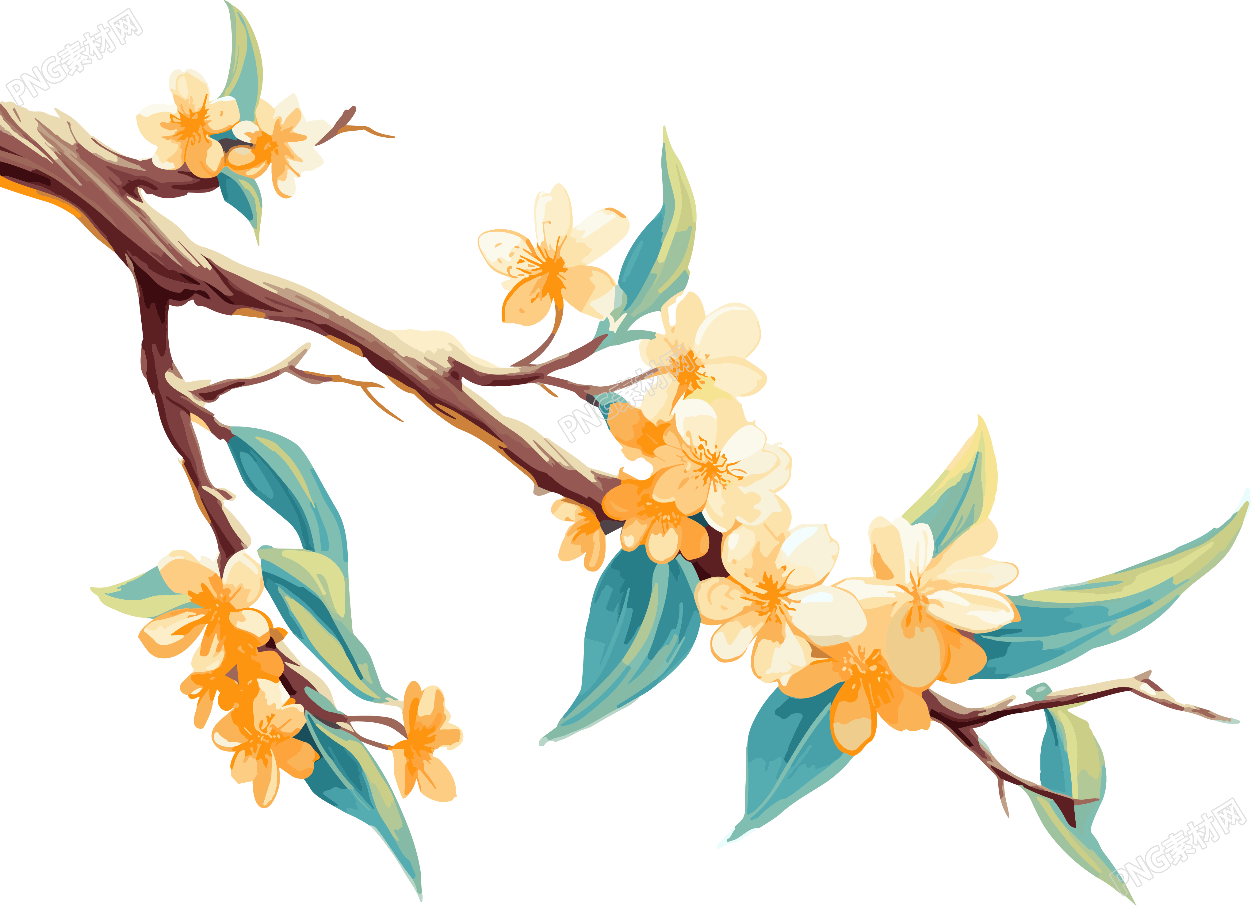 花枝精确绘画插画设计素材