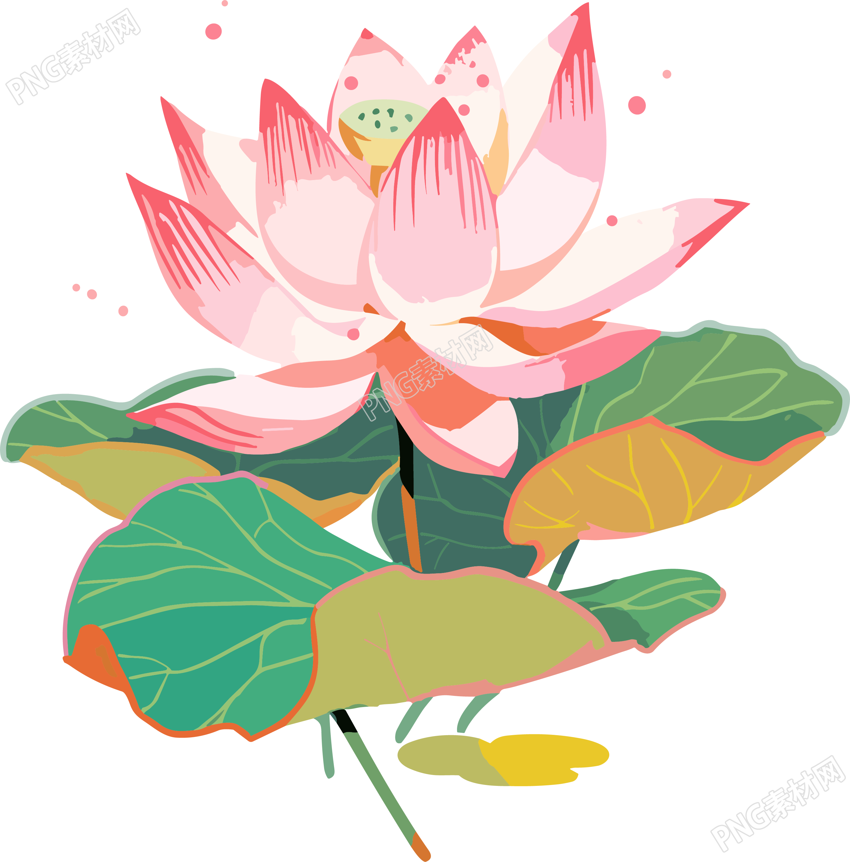 莲花插画创意设计元素