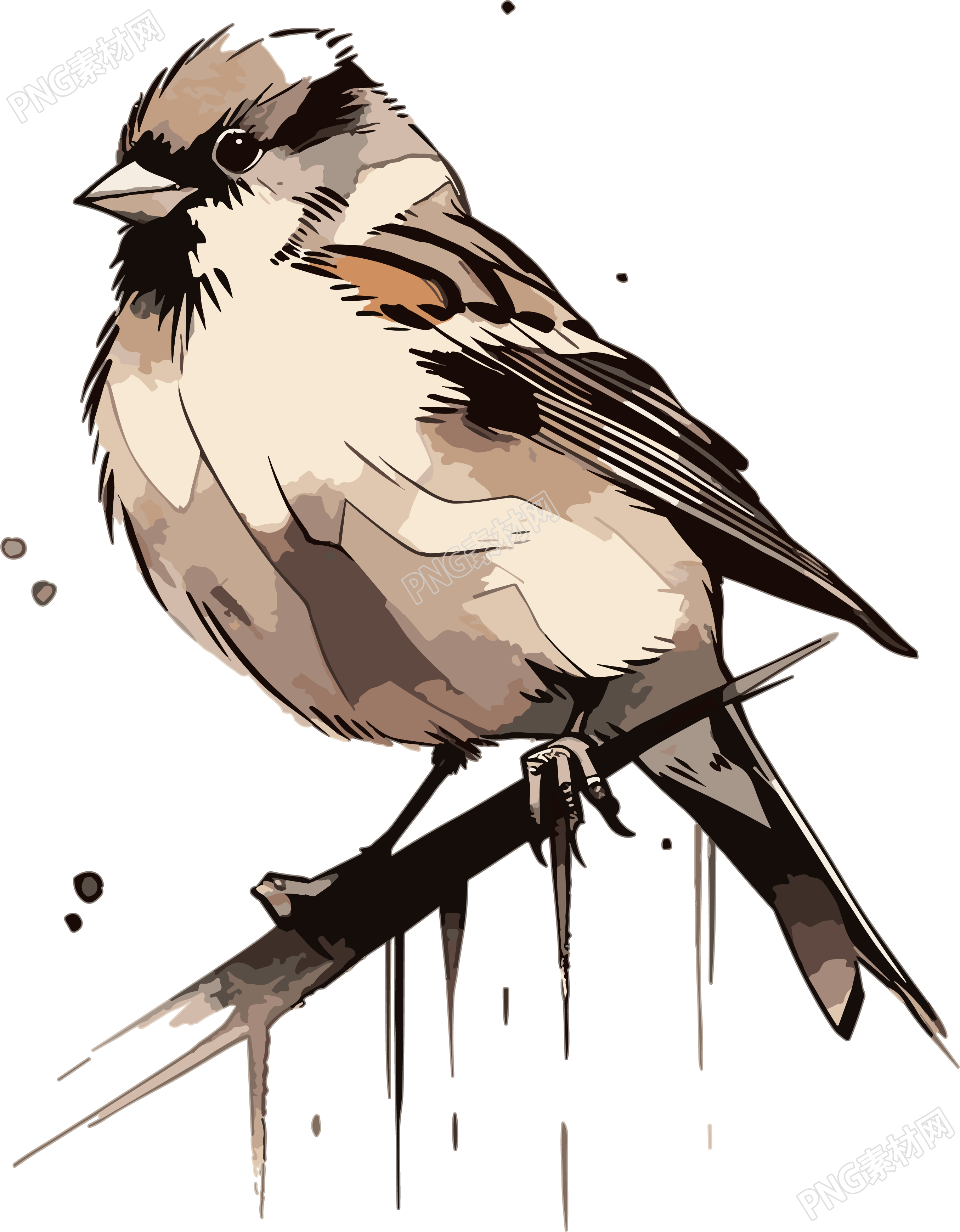 麻雀水墨插画素材