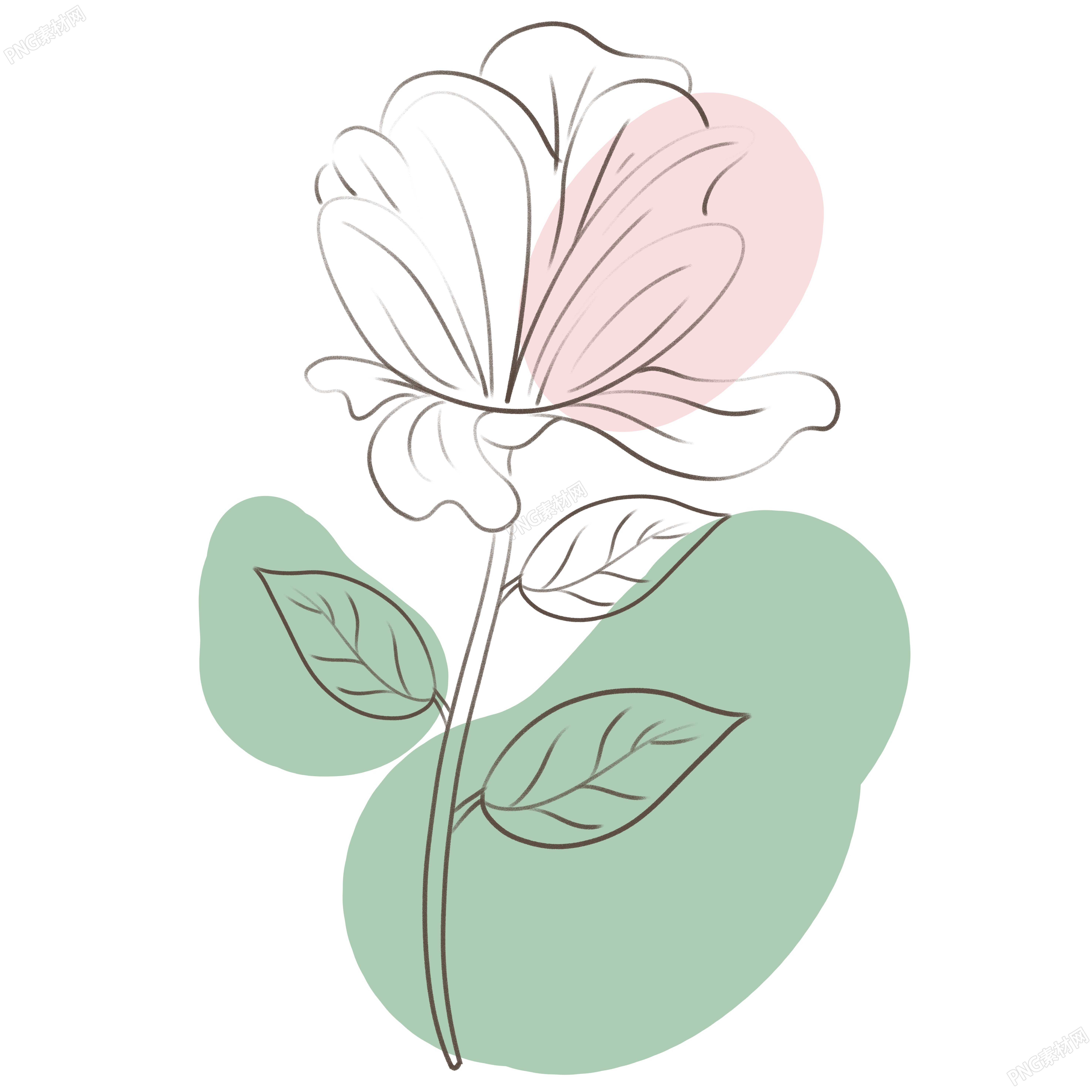 一支鲜花线条花朵创意插画