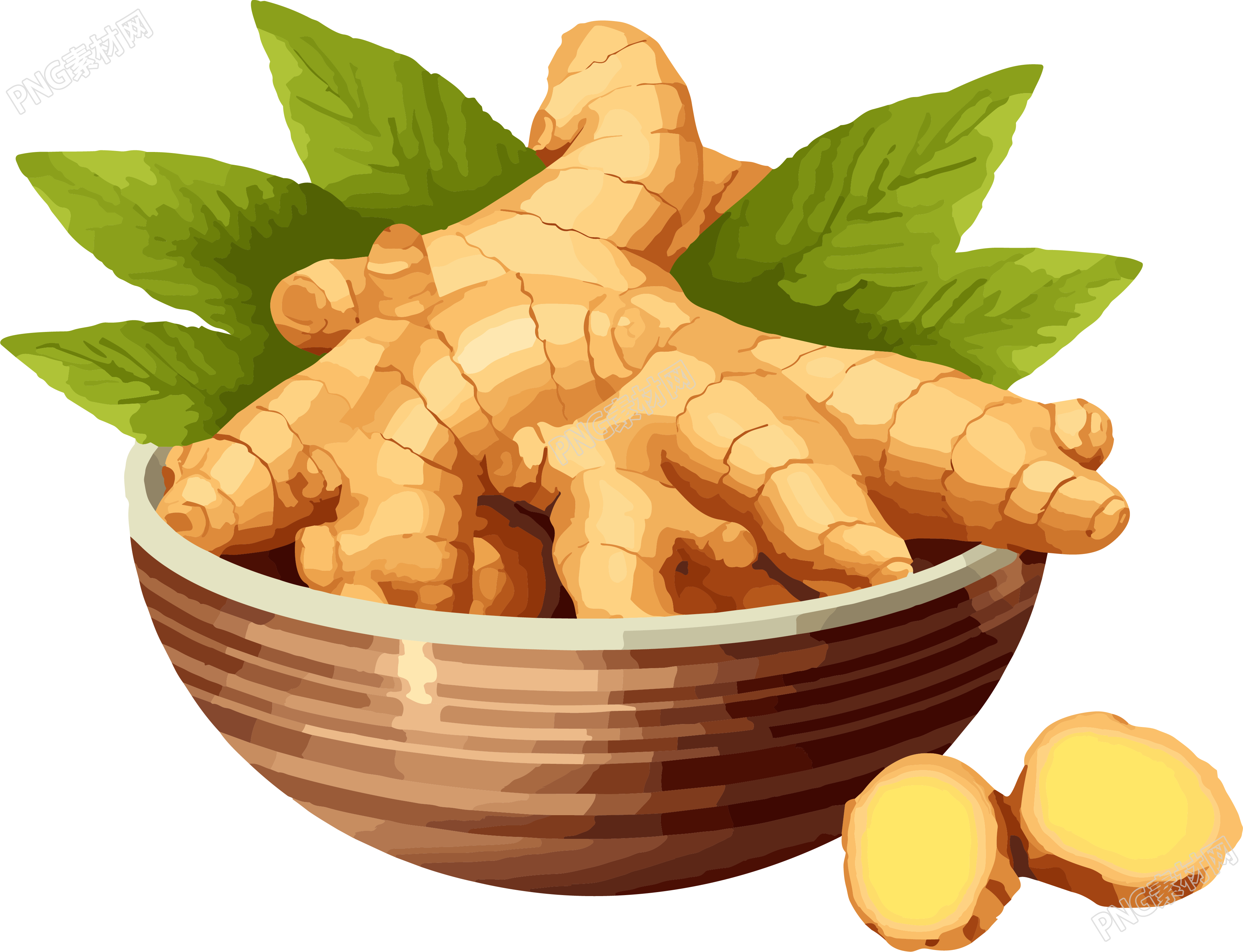 可商用生姜插图PNG
