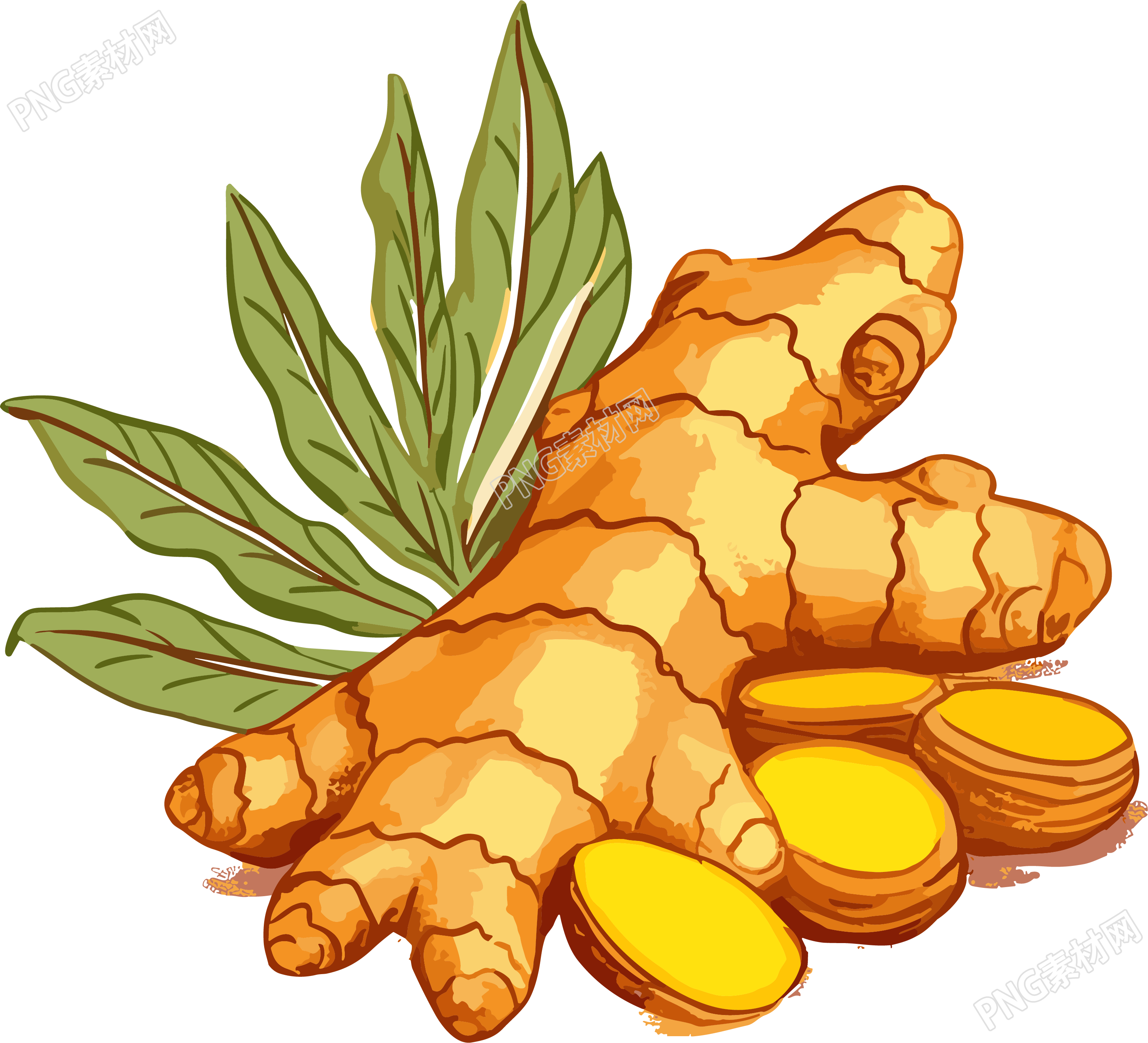 生姜高清PNG创意设计