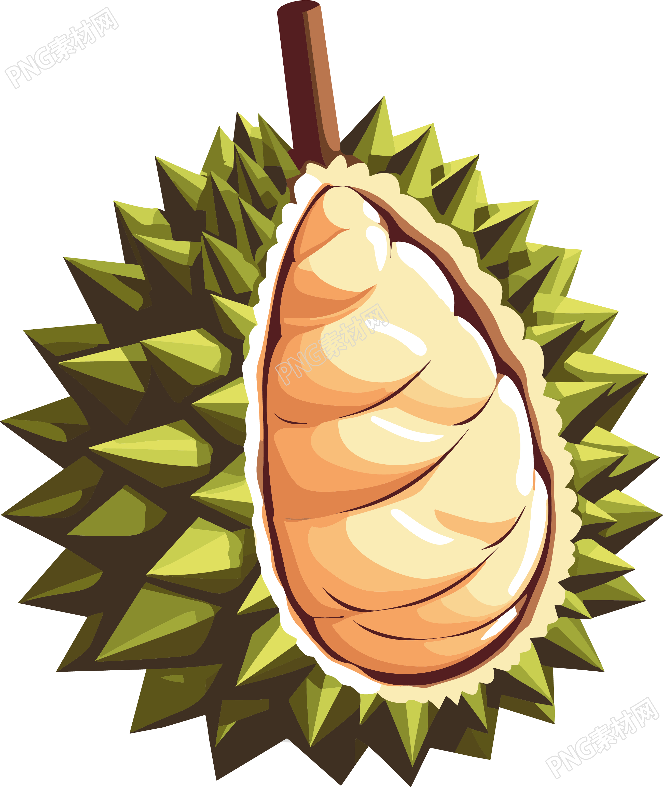果实饱满的榴莲PNG插画素材