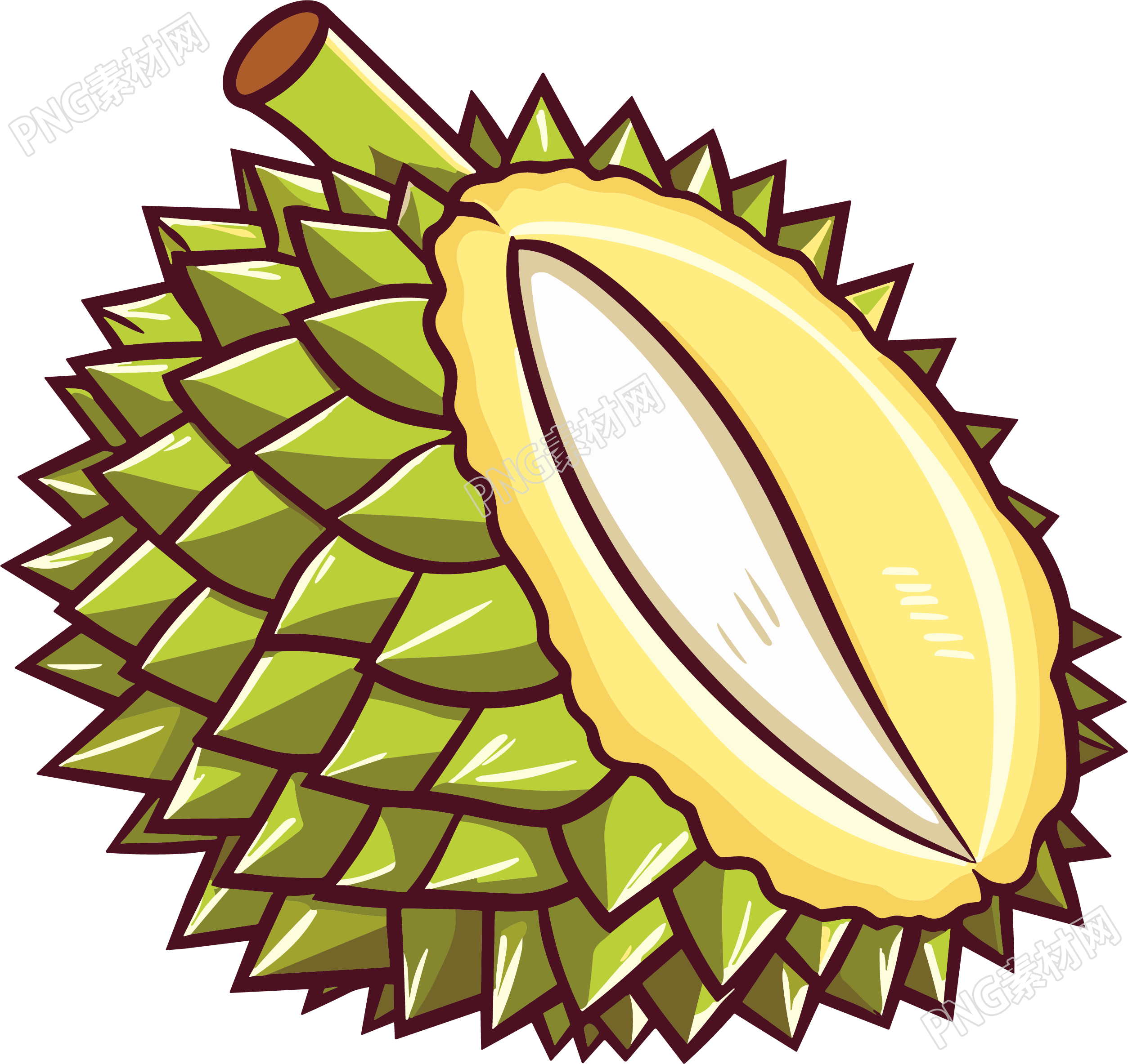 榴莲水果矢量插图