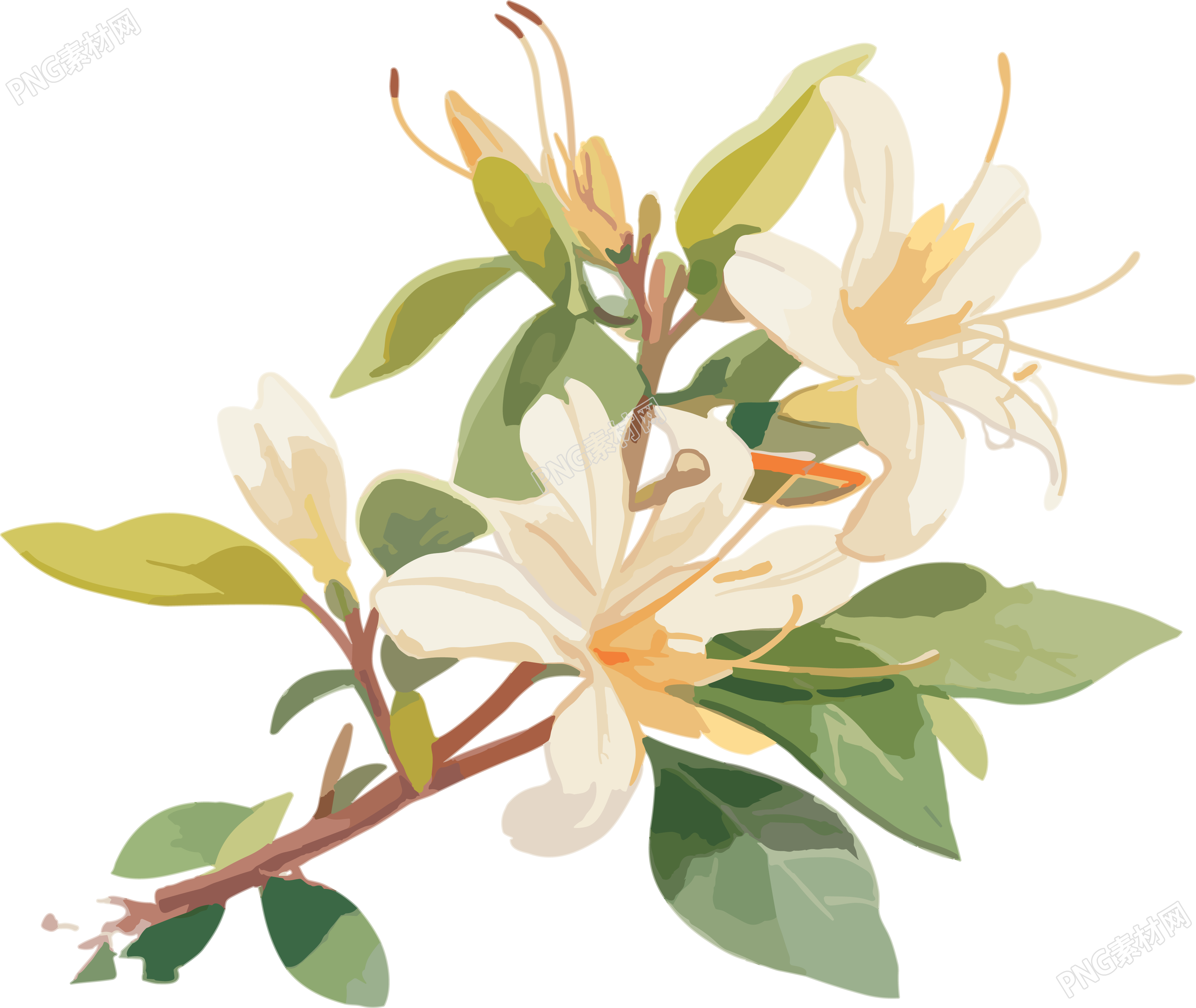 清新淡雅白花设计素材