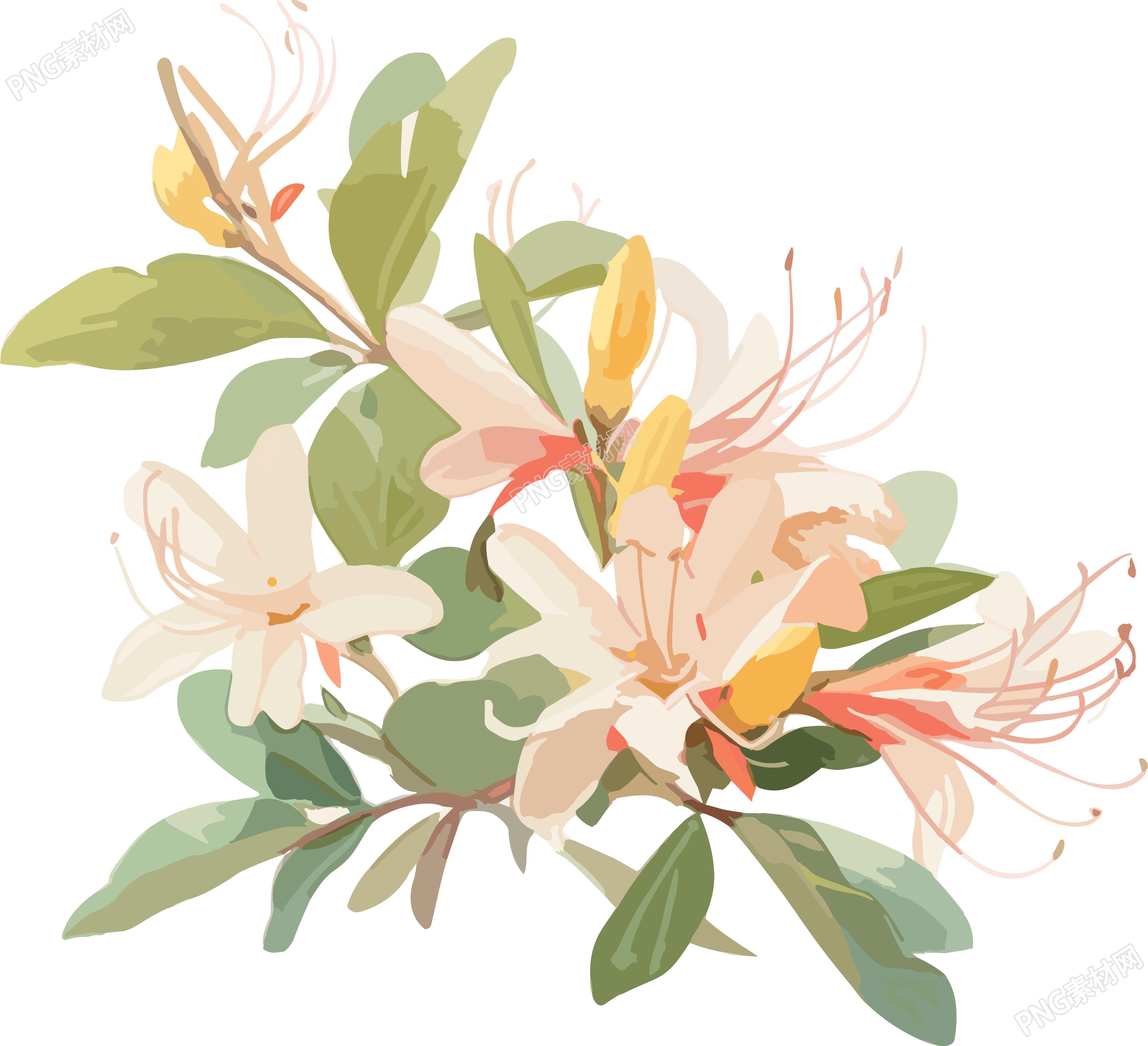 白色淡雅花朵素材