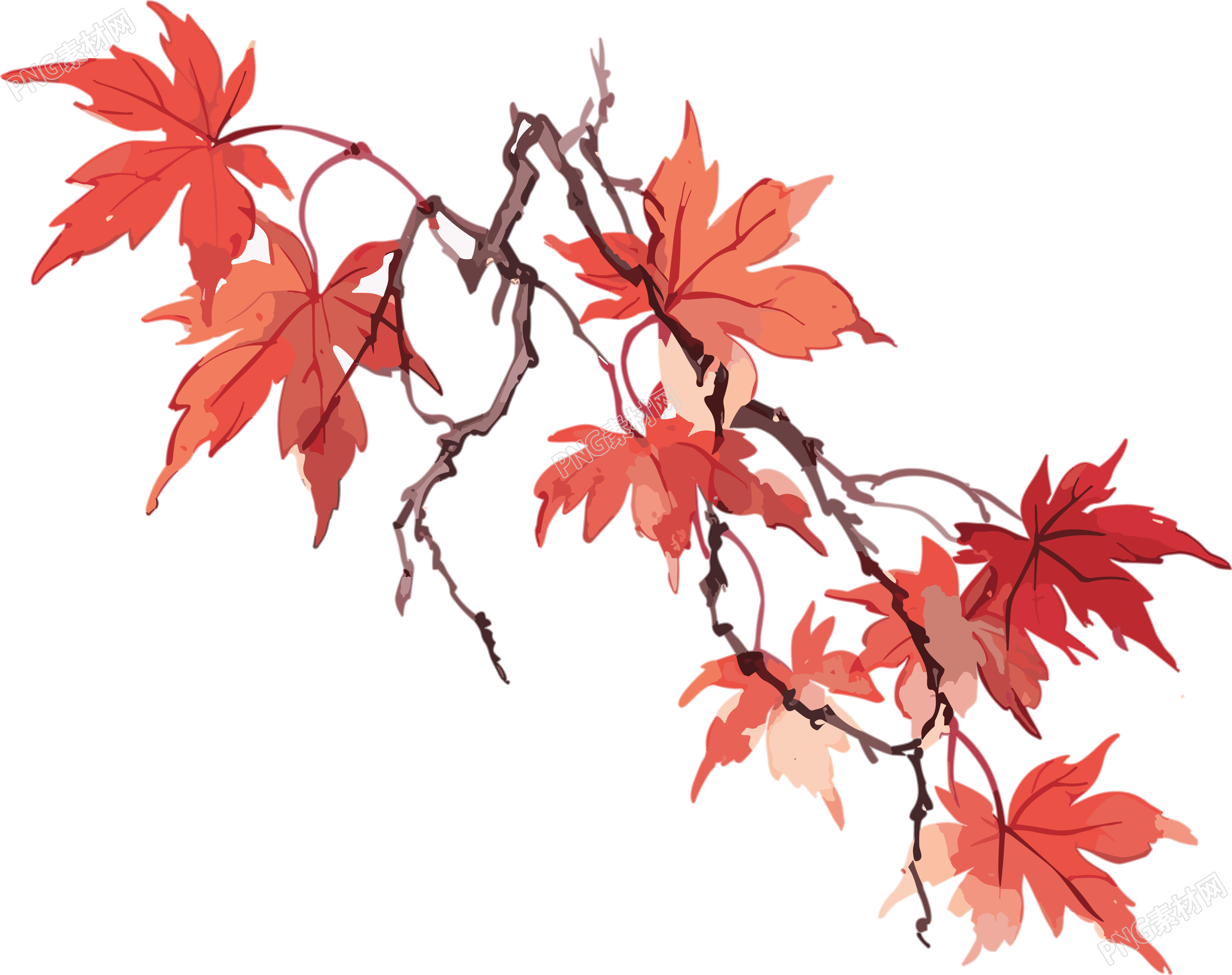 秋意盎然枫叶红景插画设计