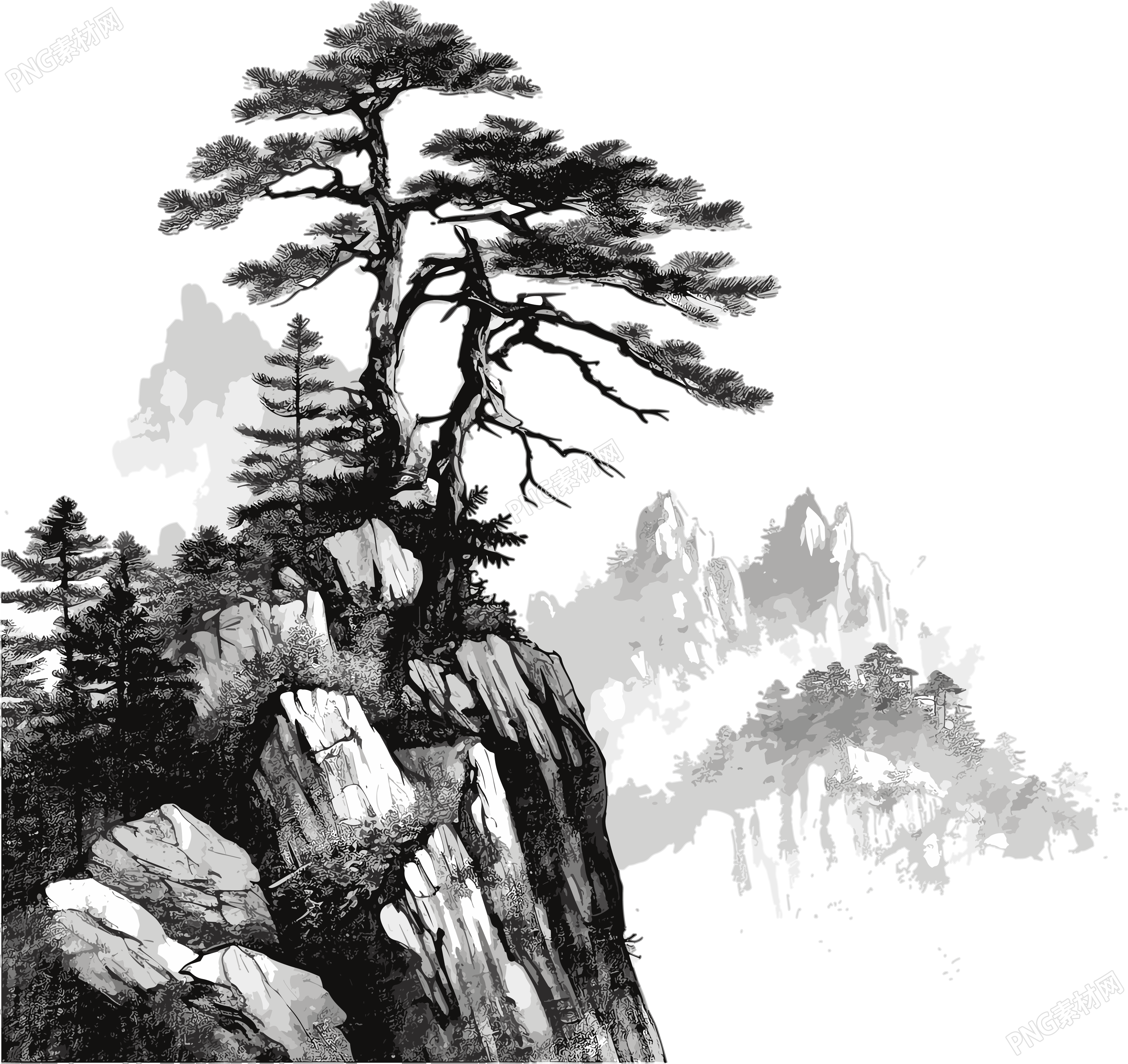 中国风高山上的松树插画