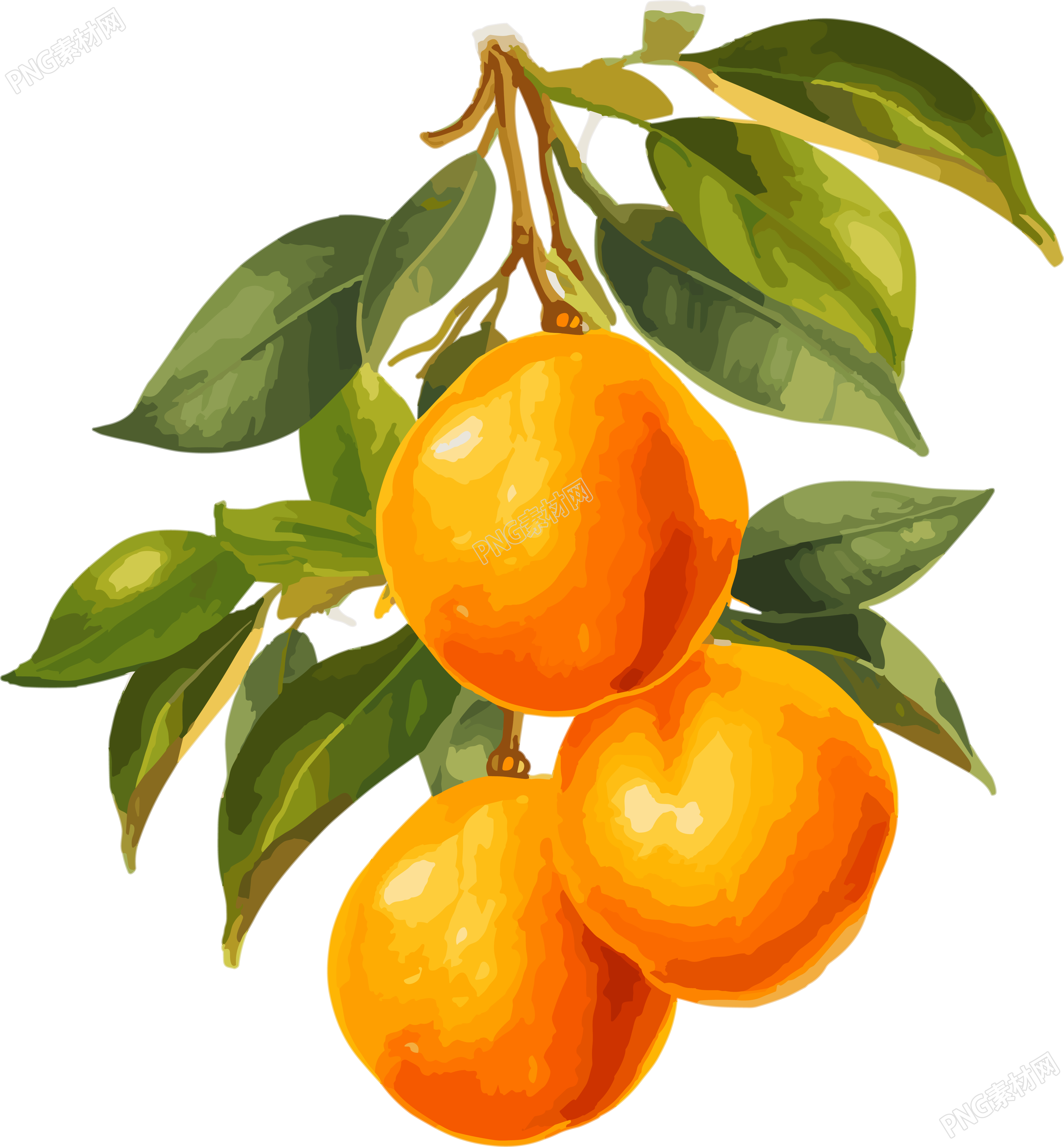 卡通风格黄橙子树枝PNG素材