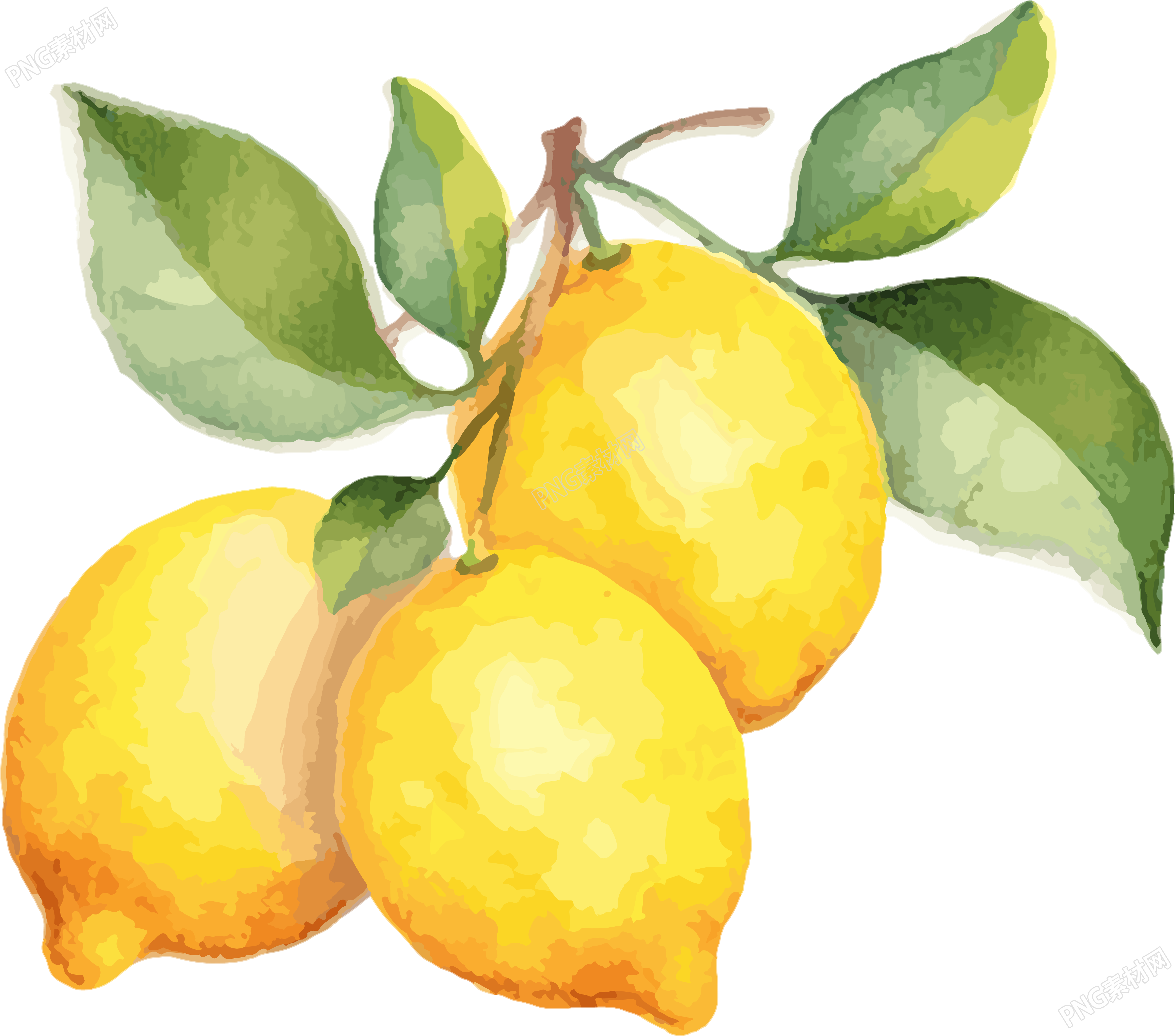 黄色柠檬水彩插画素材