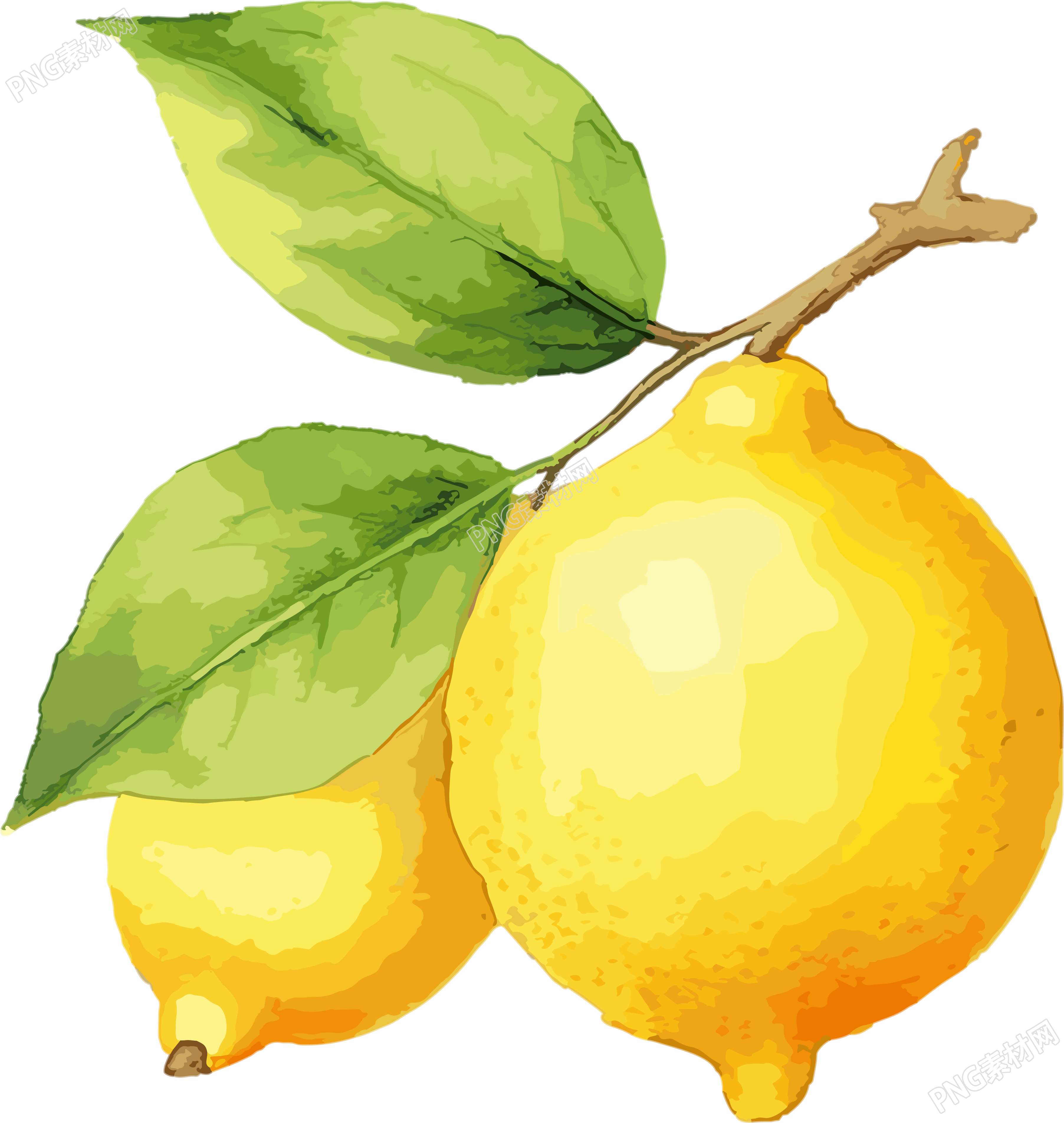 柠檬水彩插画素材素材