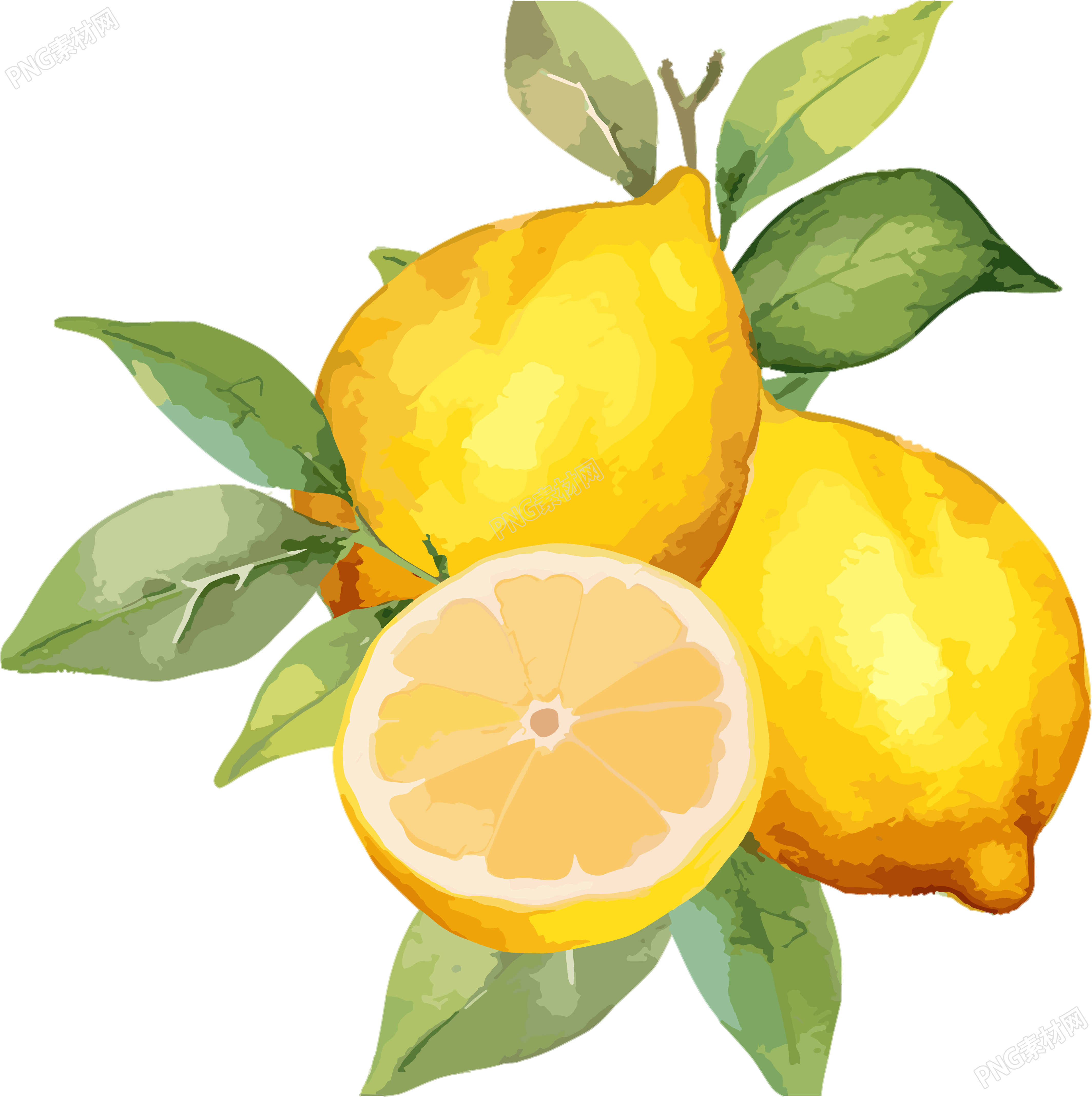 柠檬水彩插画素材