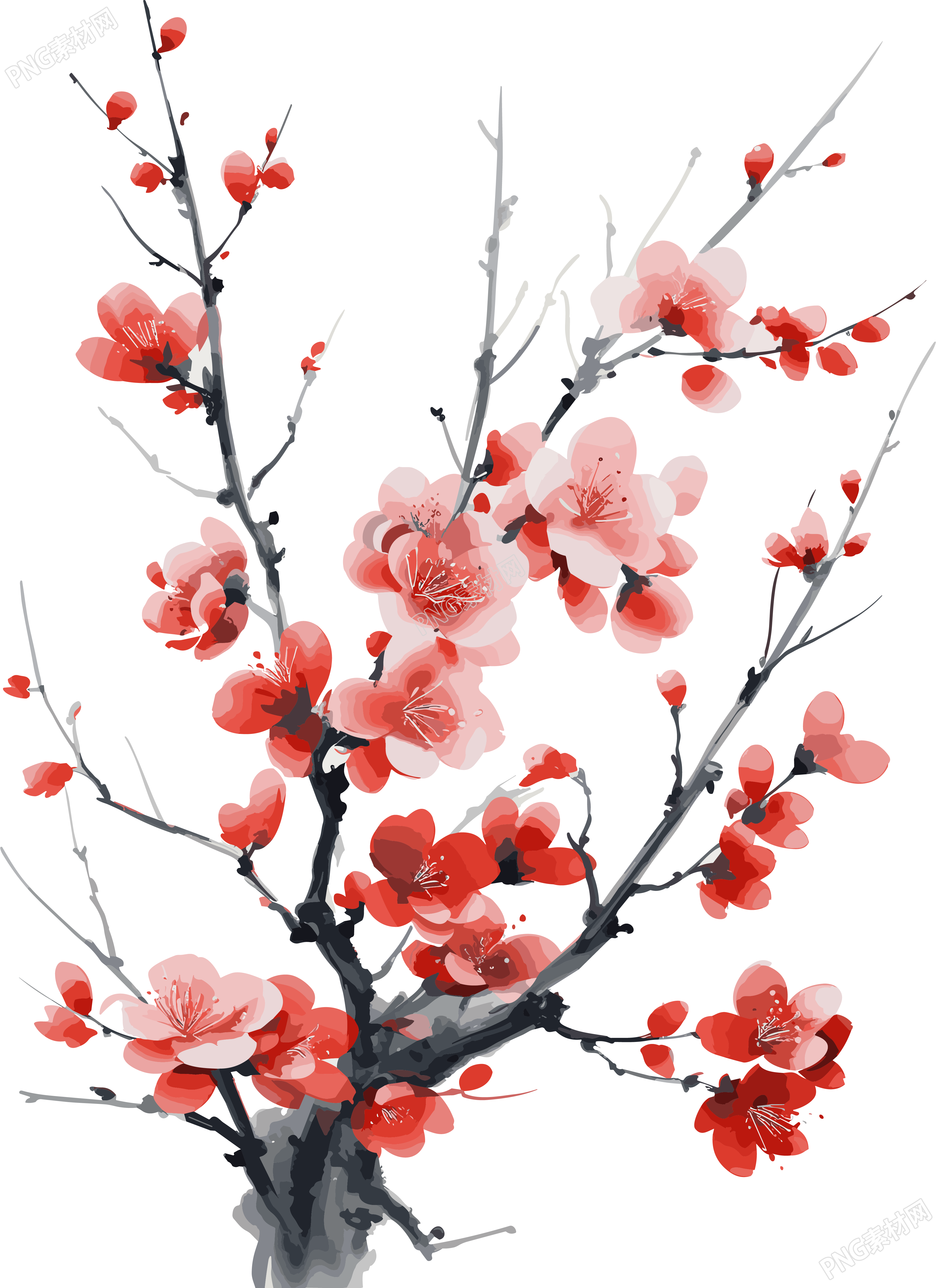 可商用红樱花枝精美插图