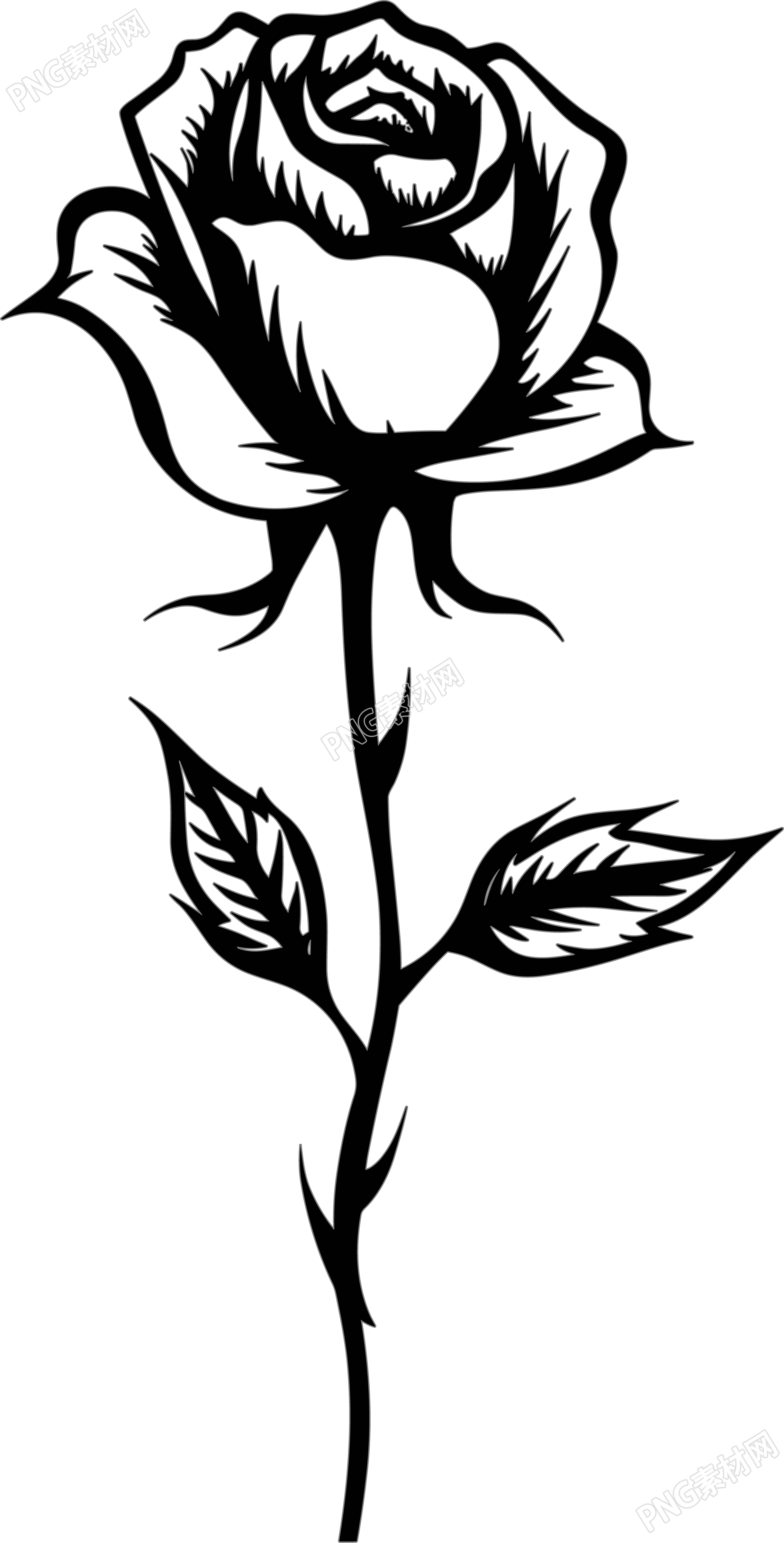 可商用黑白线描玫瑰花素材