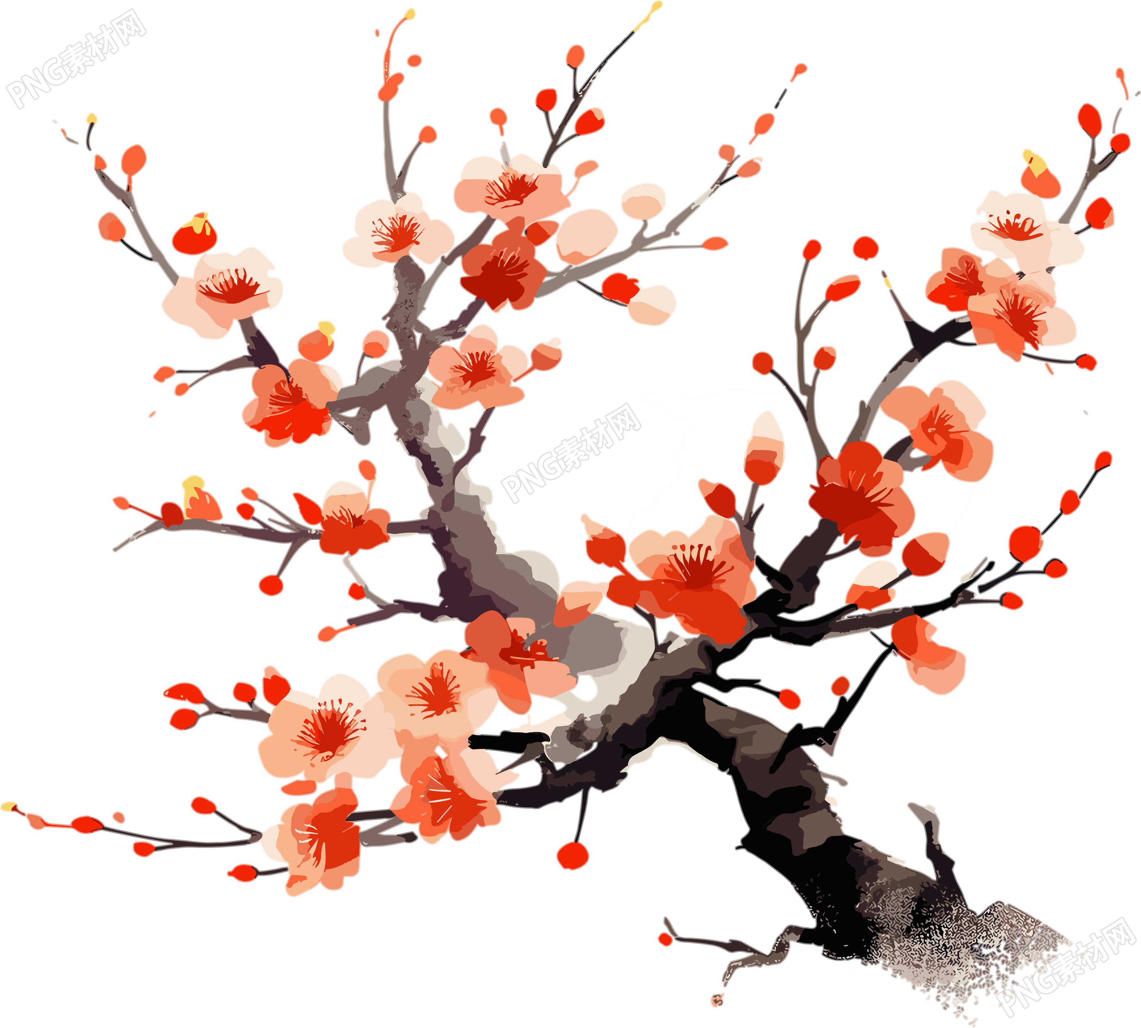 橙色梅花平面插画