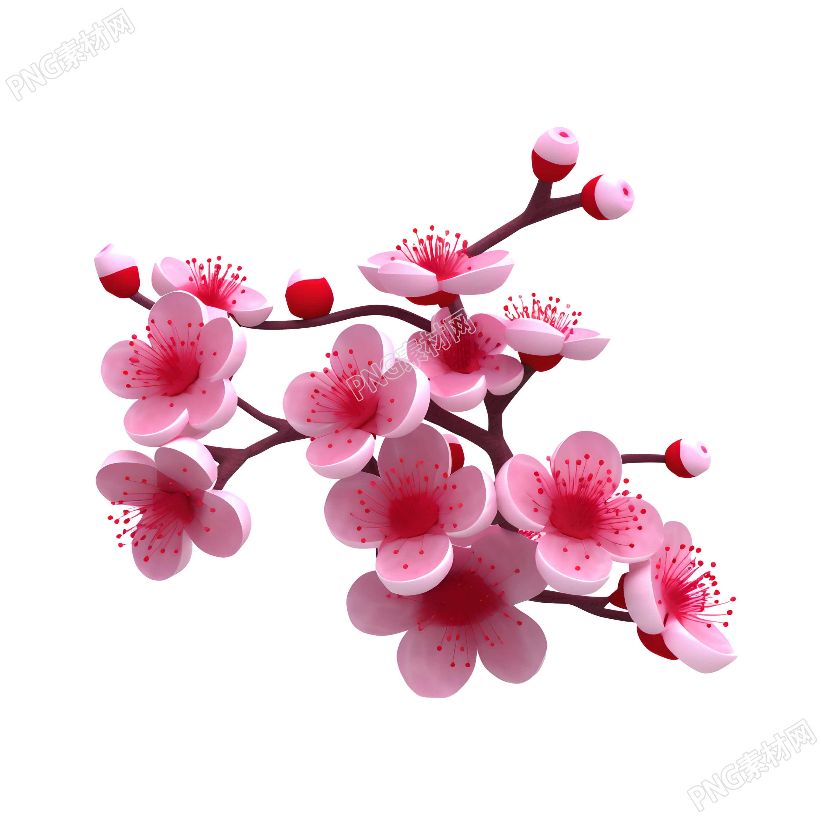 白色底面柔和照明梅花枝插画