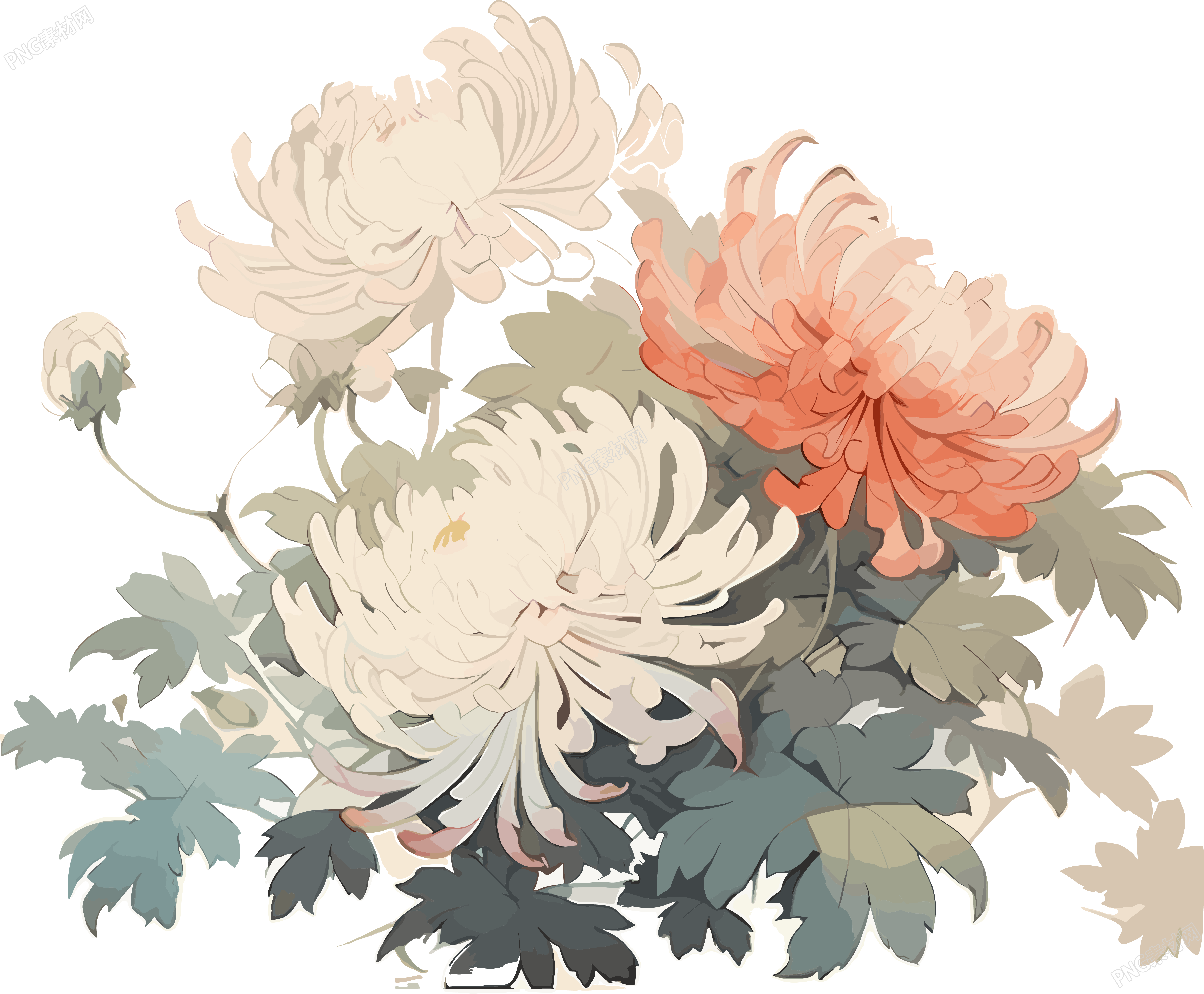 传统工笔画可商用花卉插画