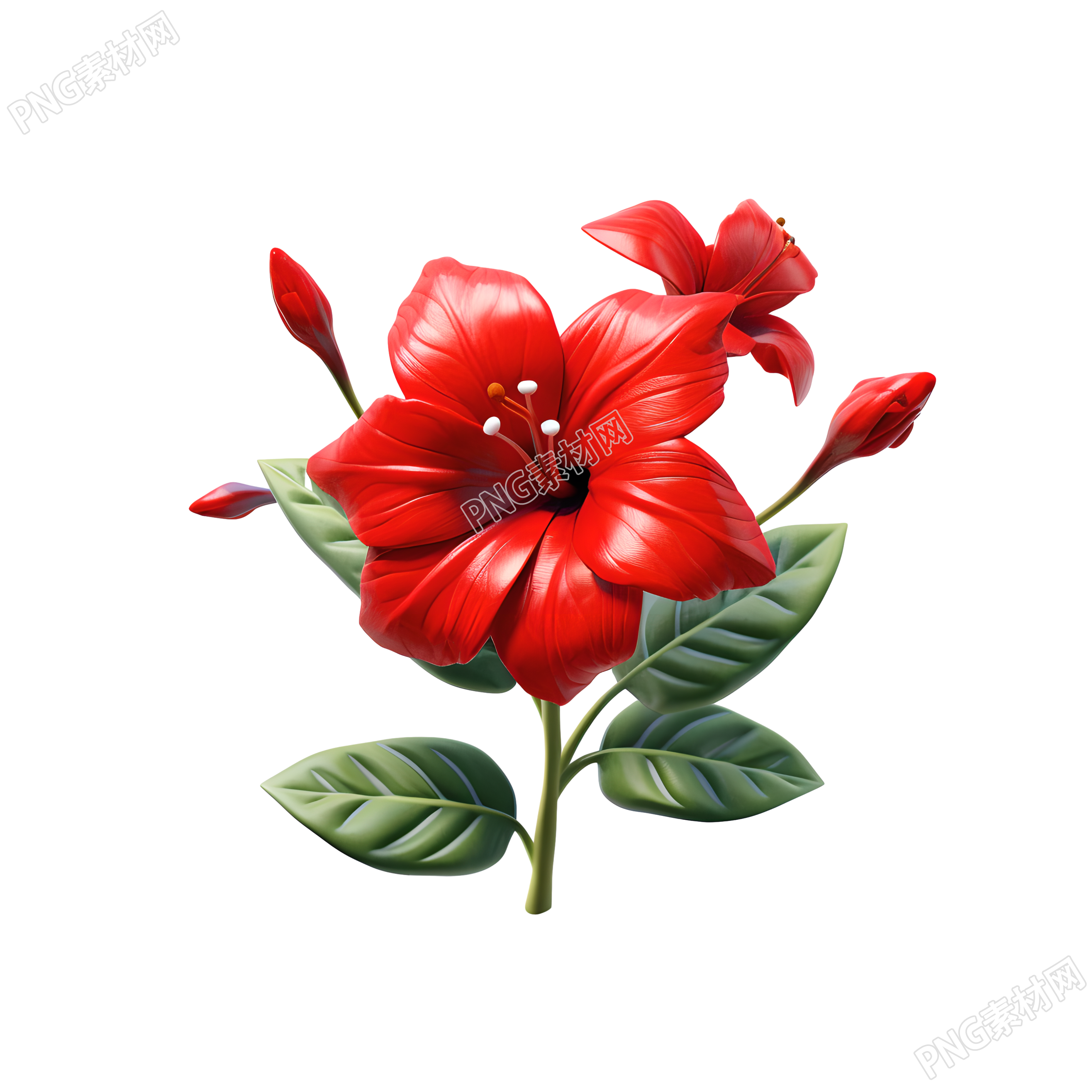 3D花卉模型红色花朵插画