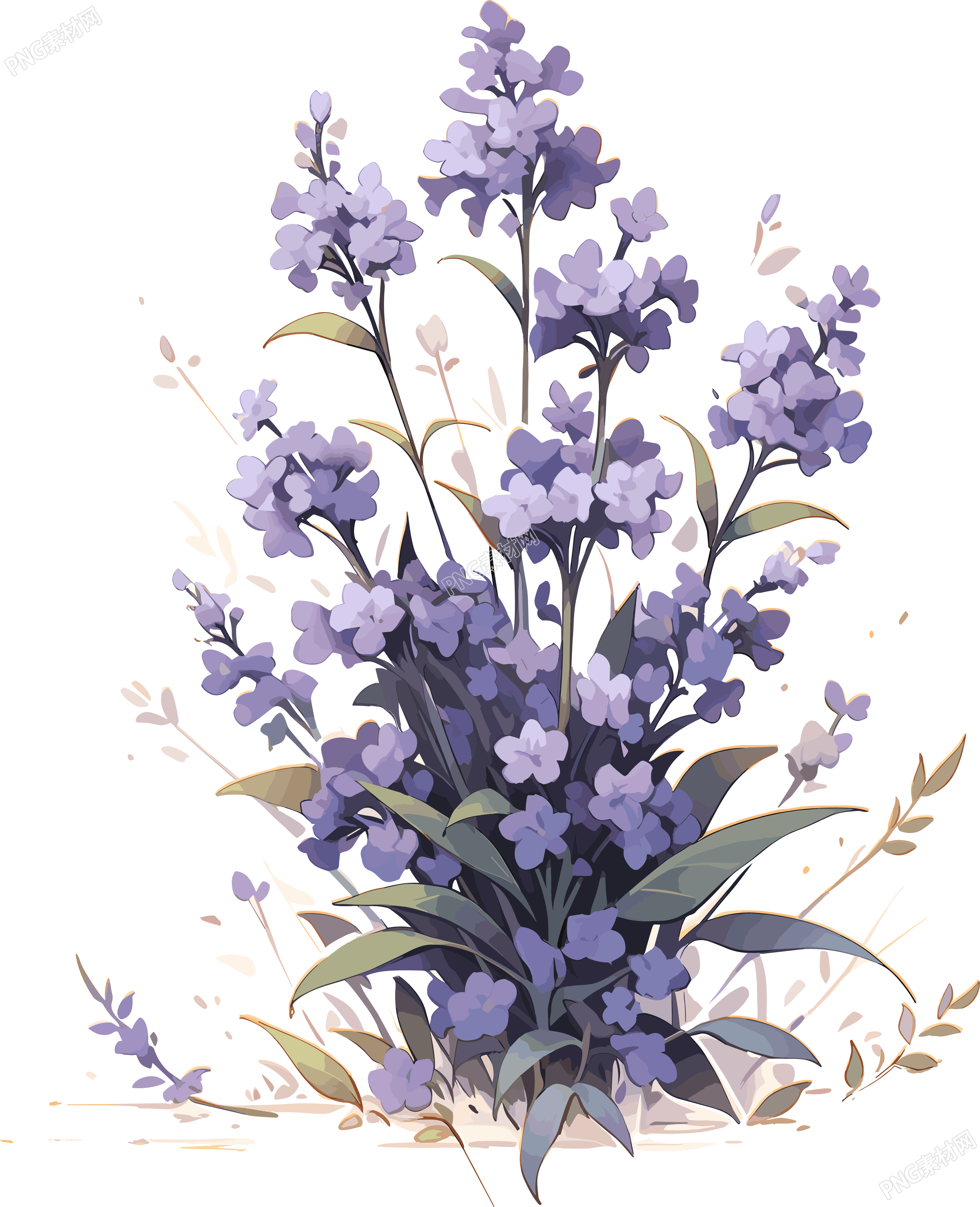 薰衣草水彩画