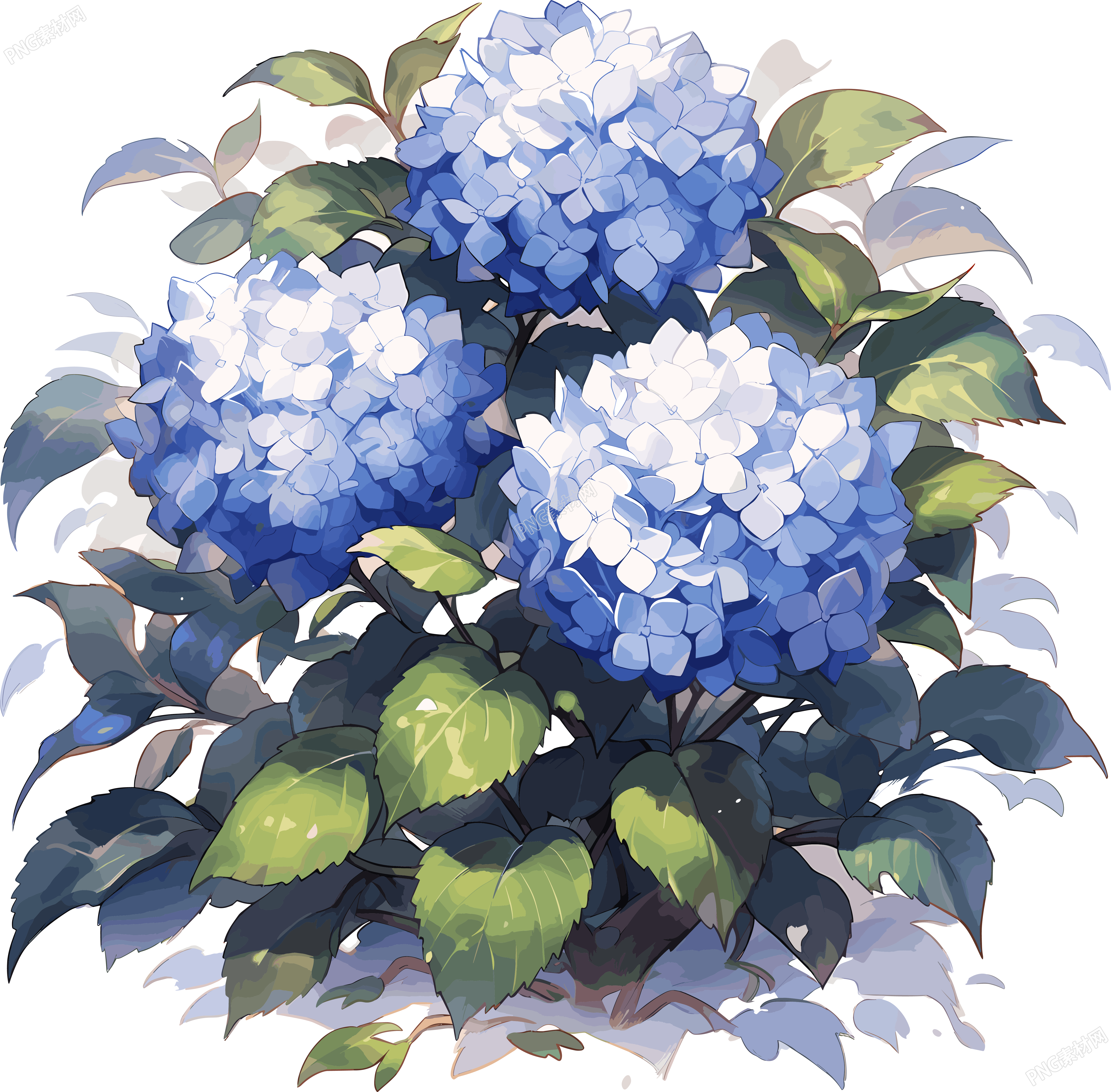 水彩花卉画的PNG图形素材