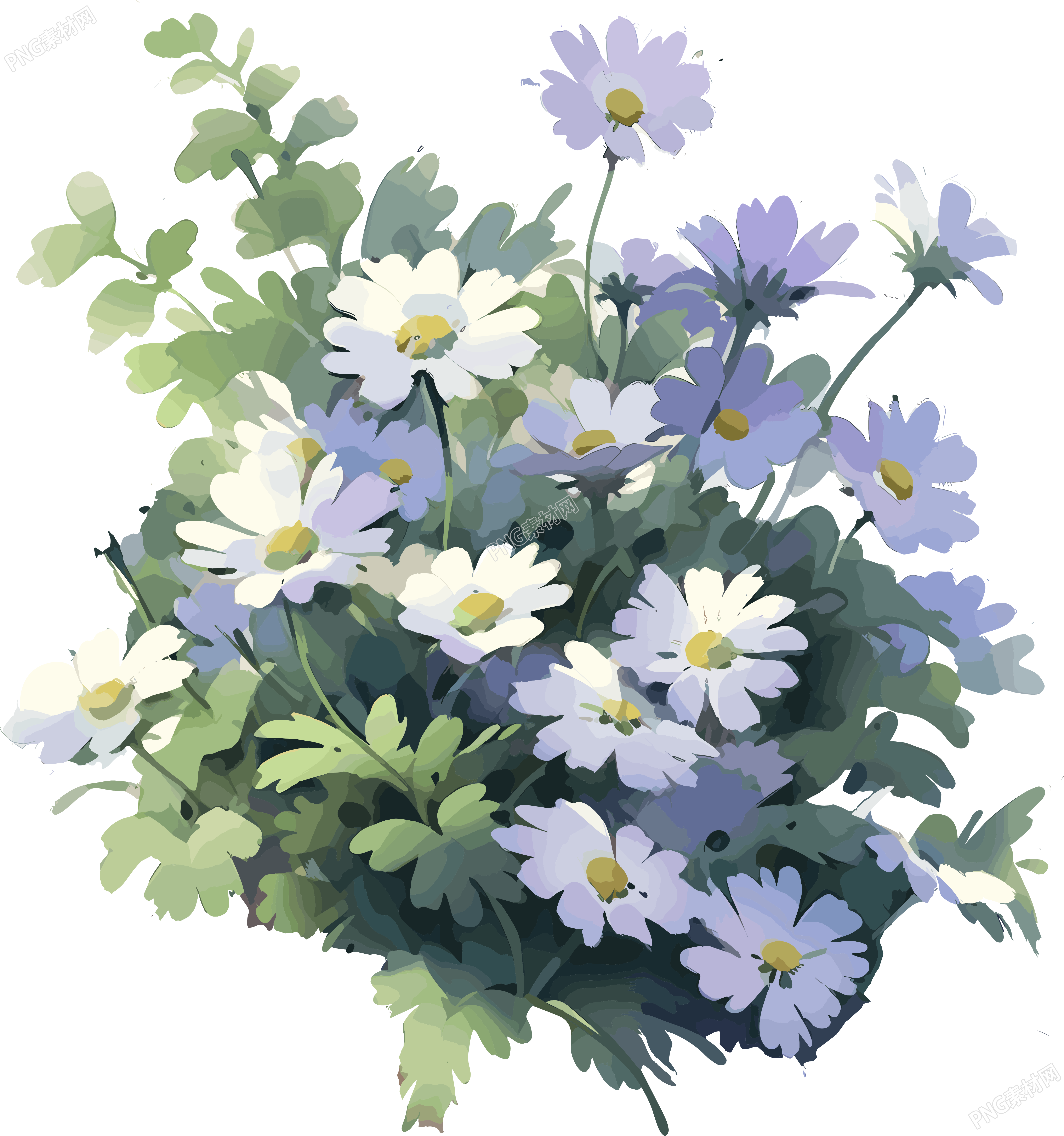 紫色雏菊花朵与翠绿的枝叶相映插画