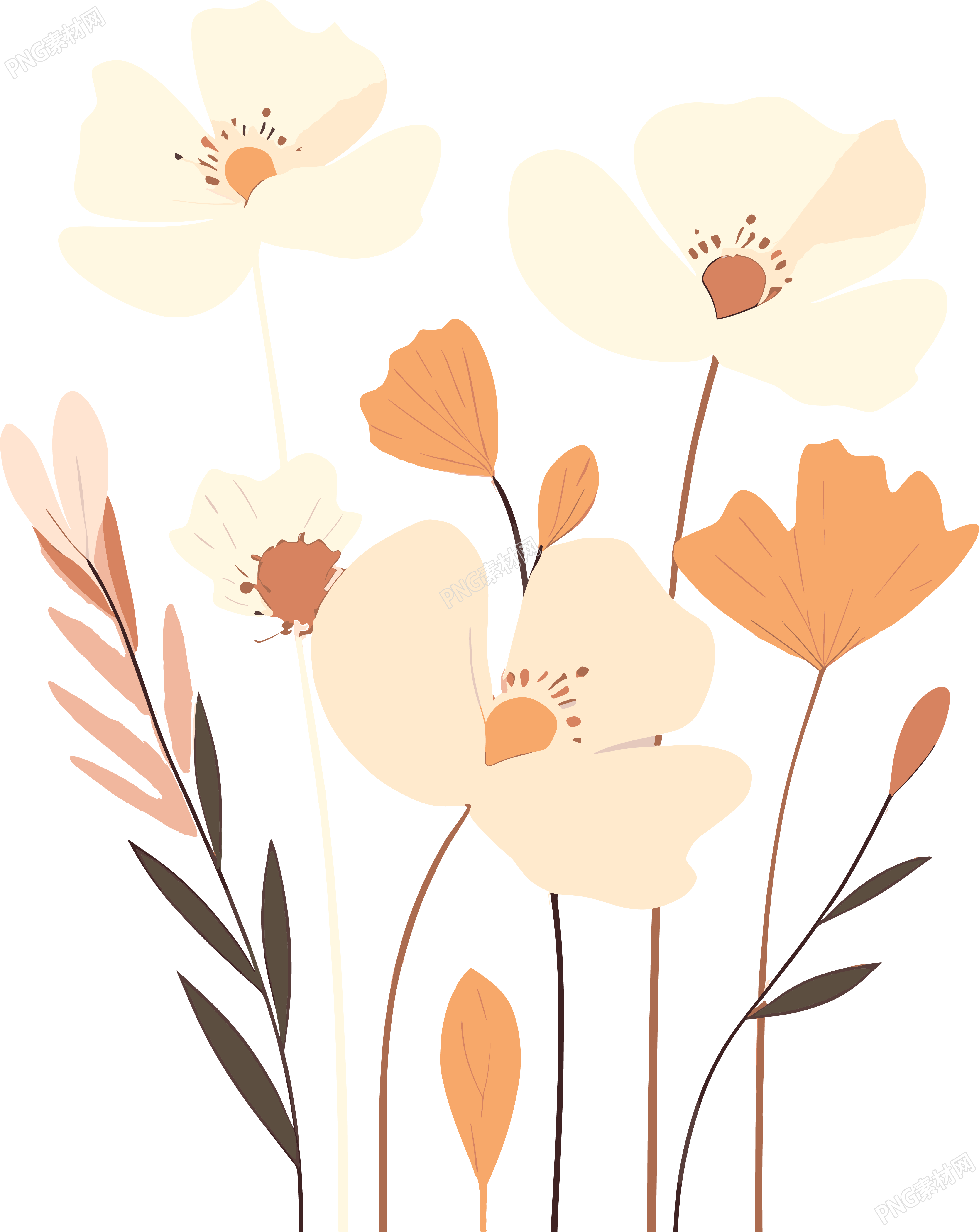 花卉素材图