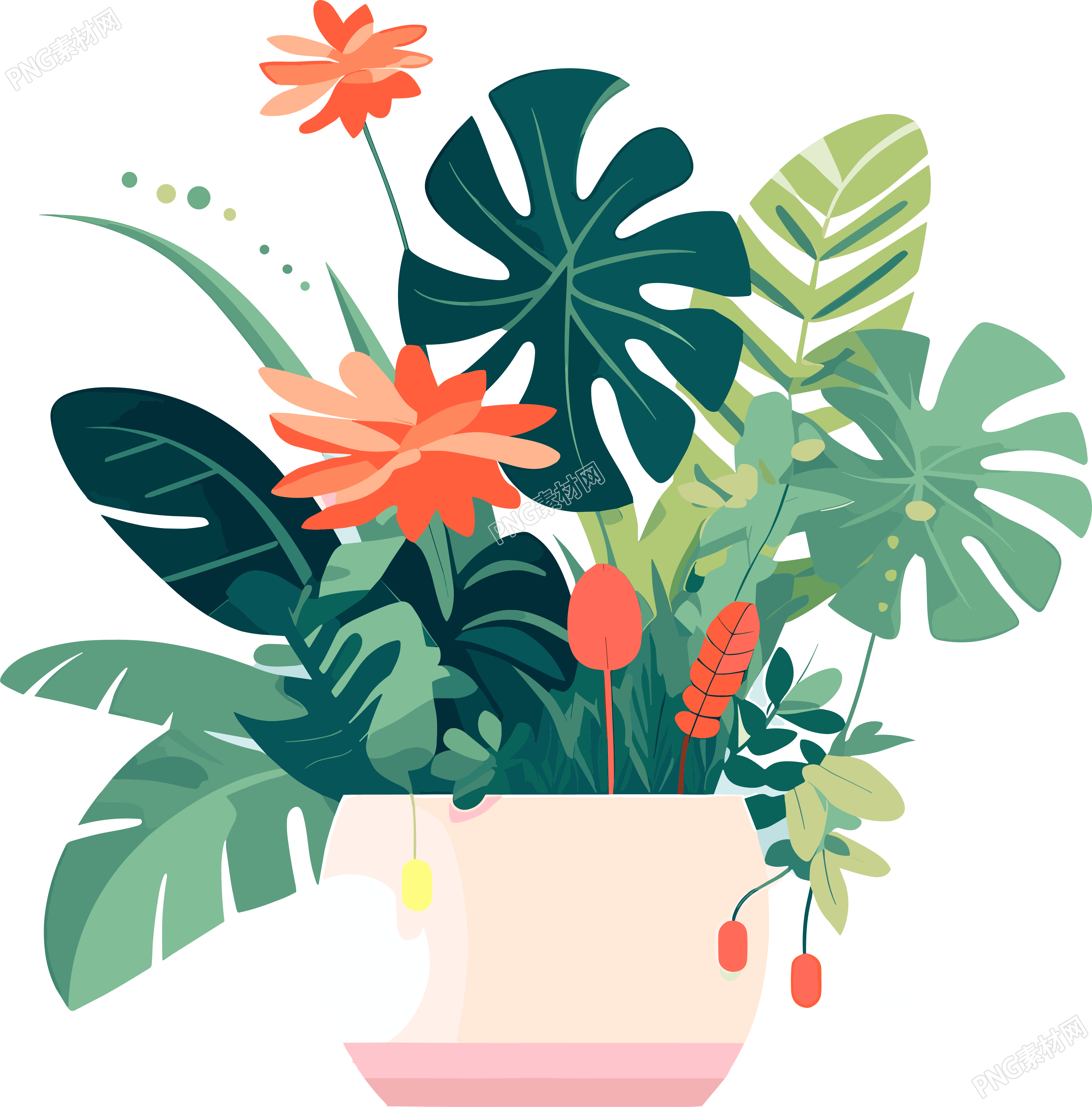 植物收藏风格的插画设计