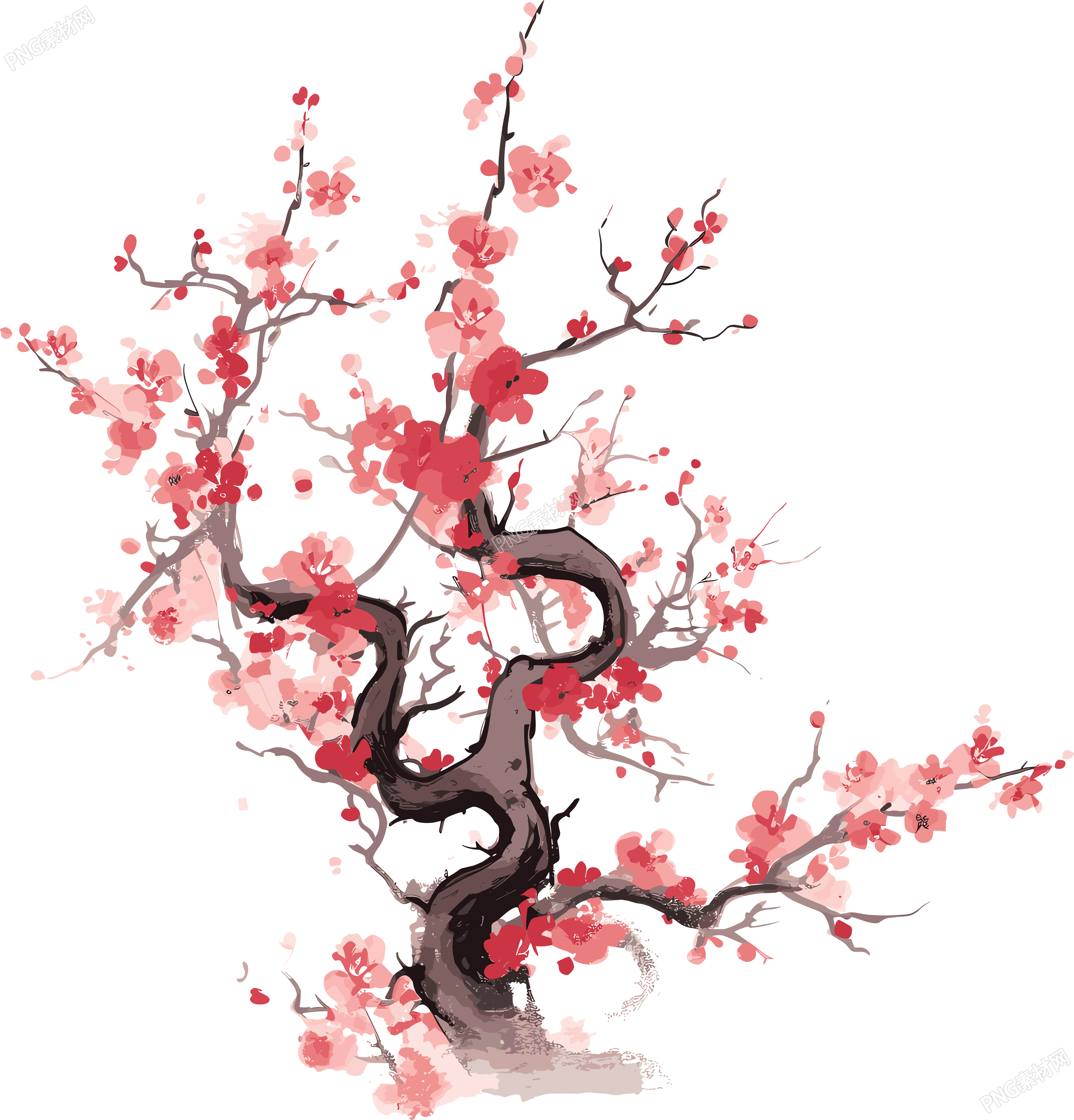 中国风白底梅花插画