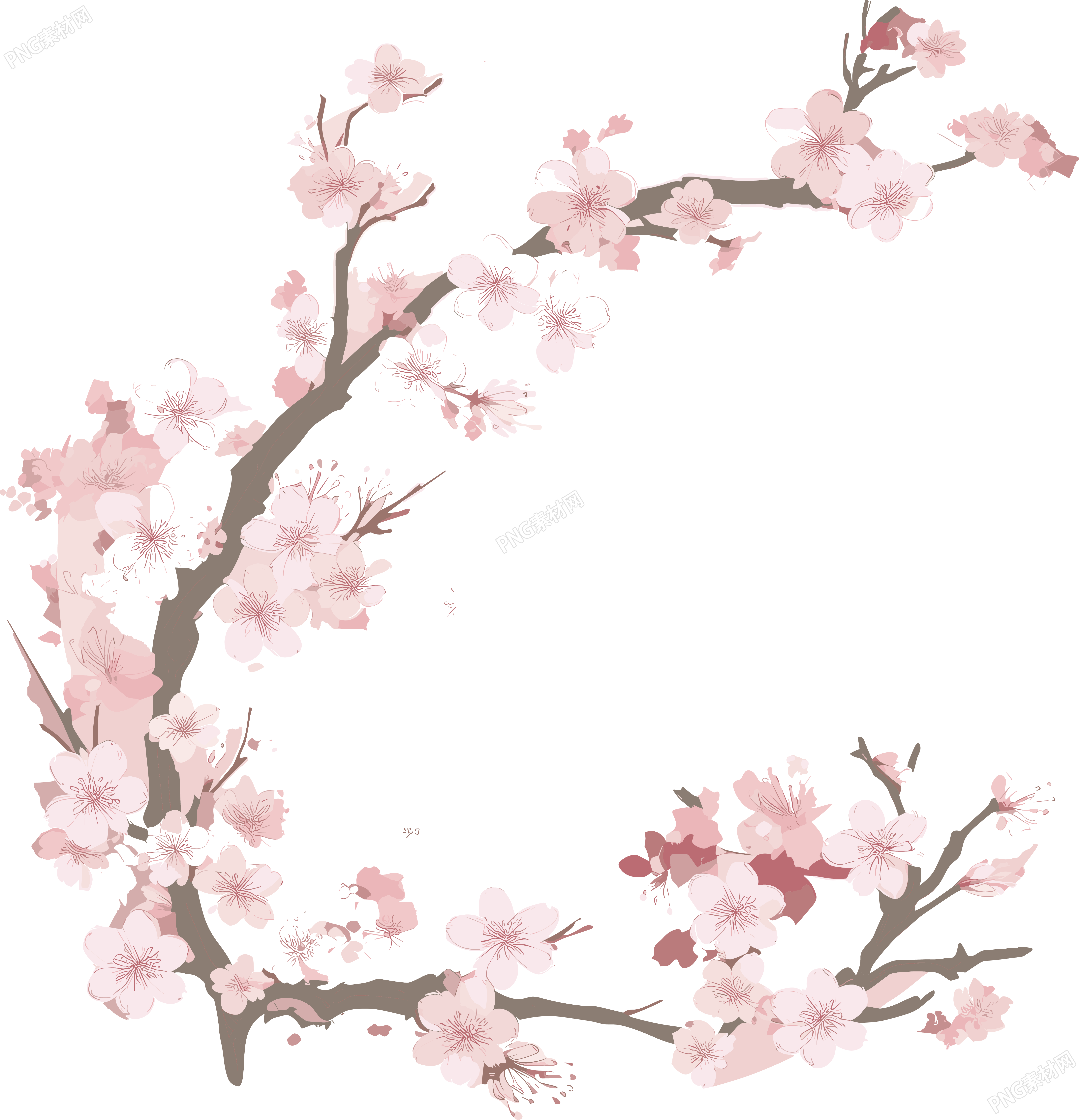梅花插图计划