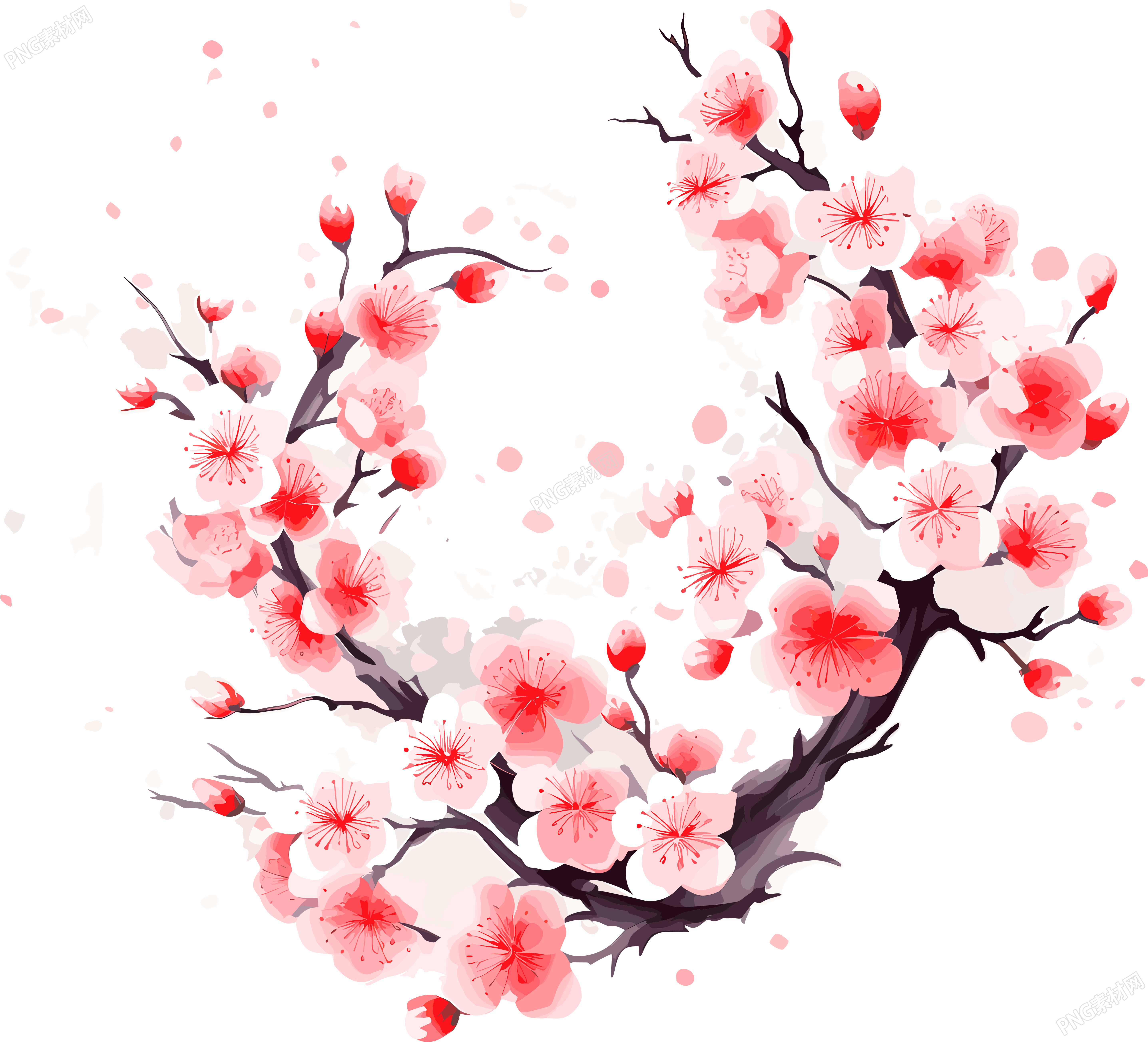梅花插图计划
