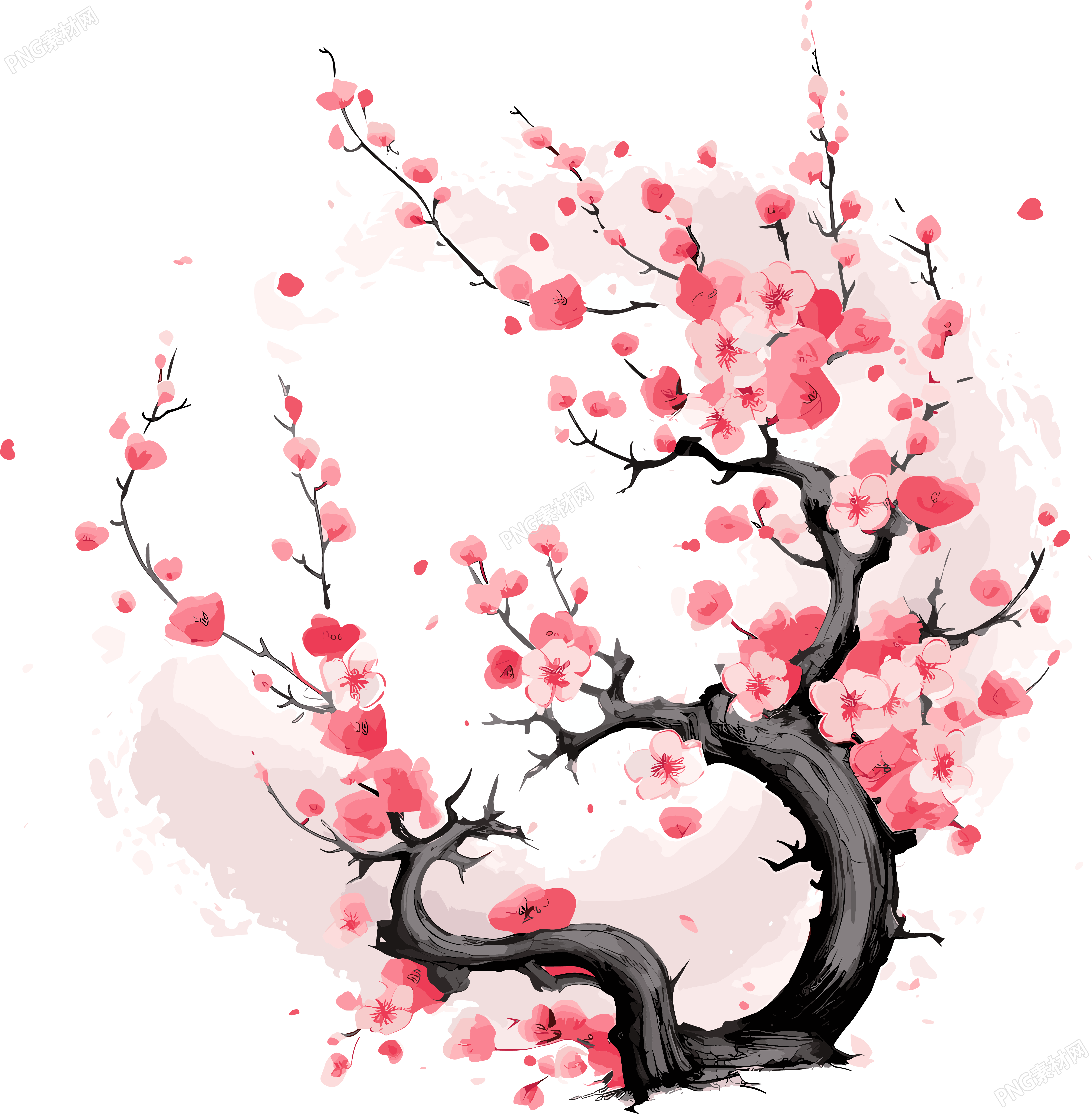 中国风白底梅花插画
