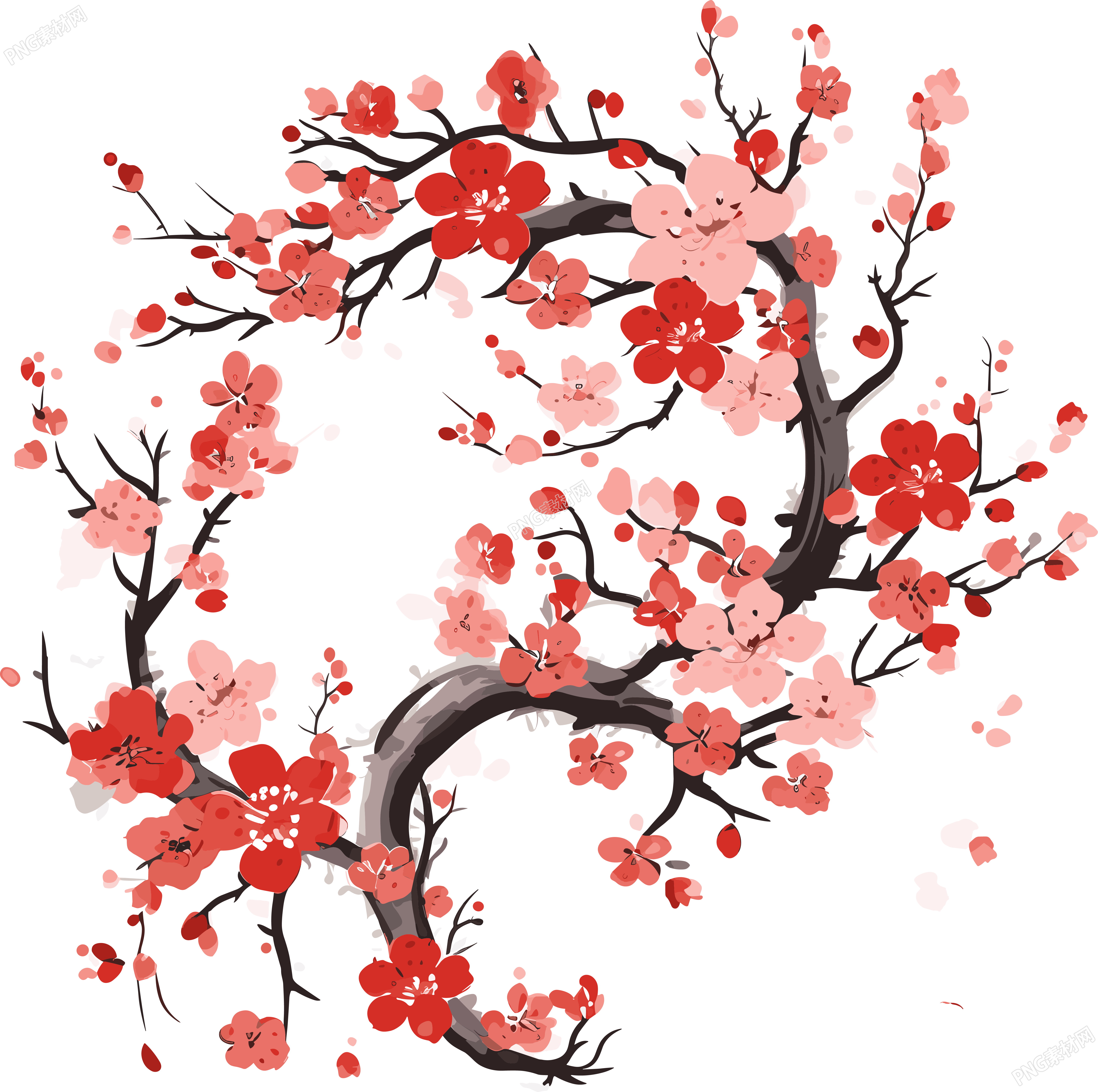 白底国风梅花插画设计