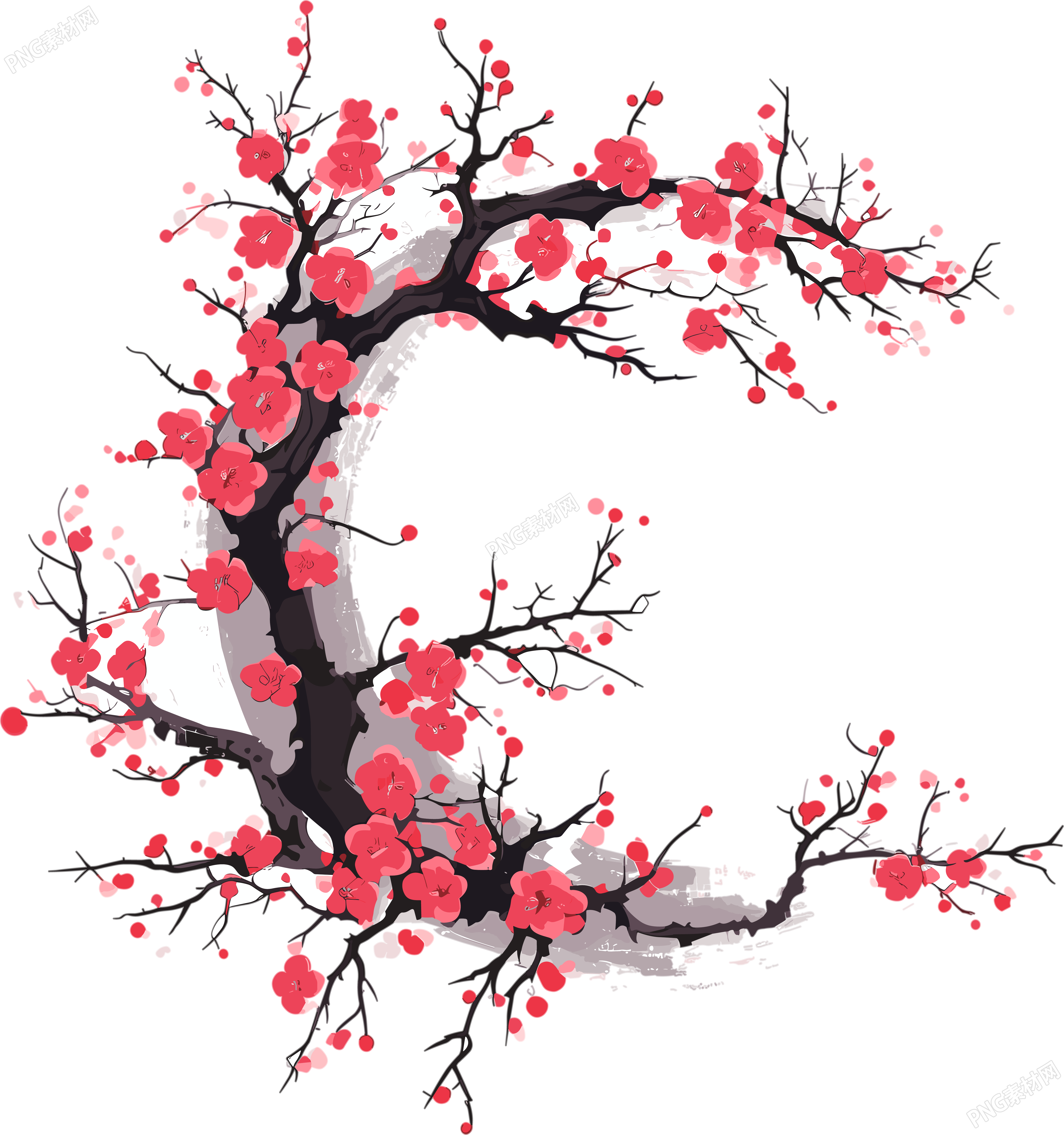 梅花插图计划