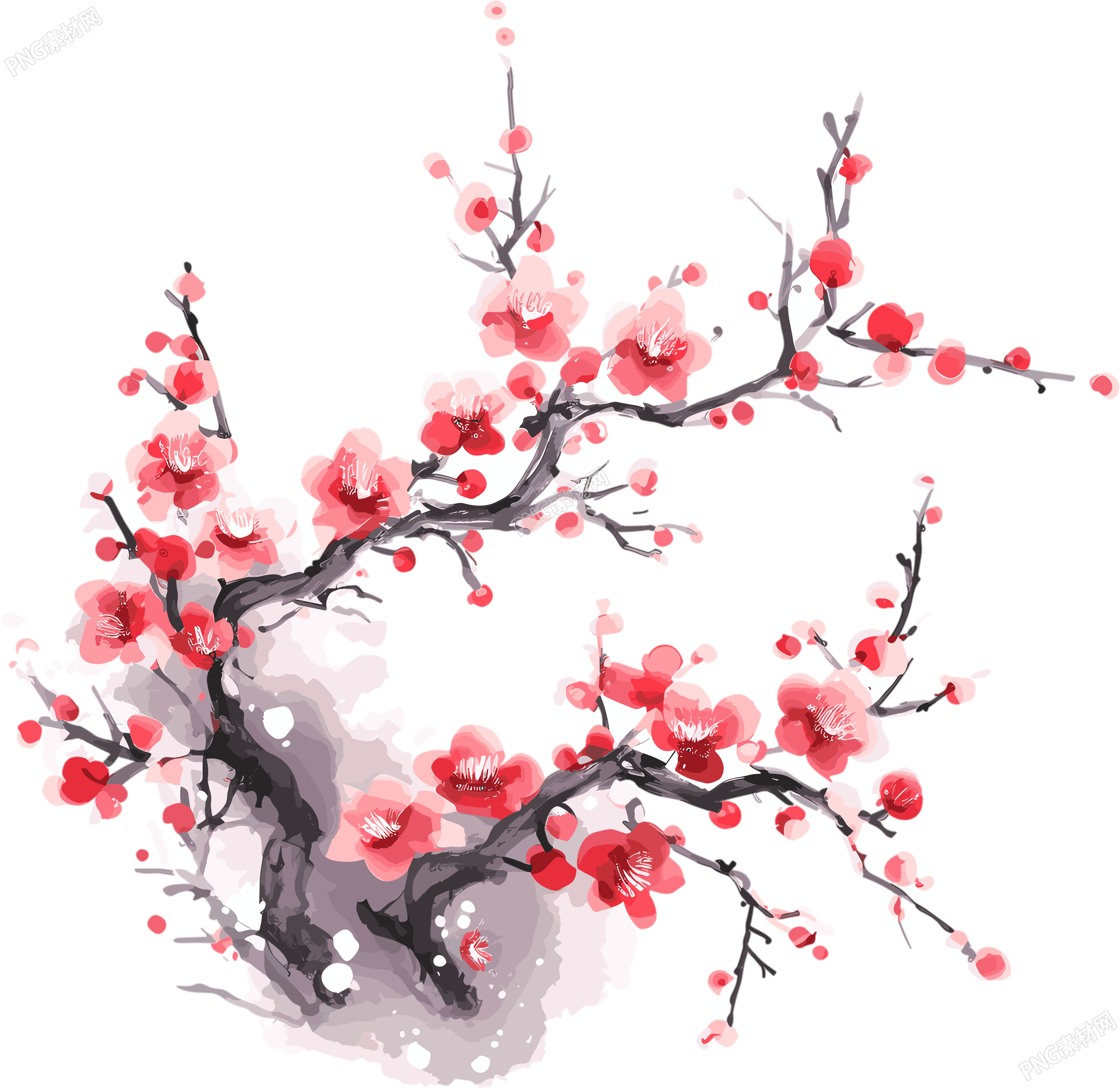 梅花插图计划