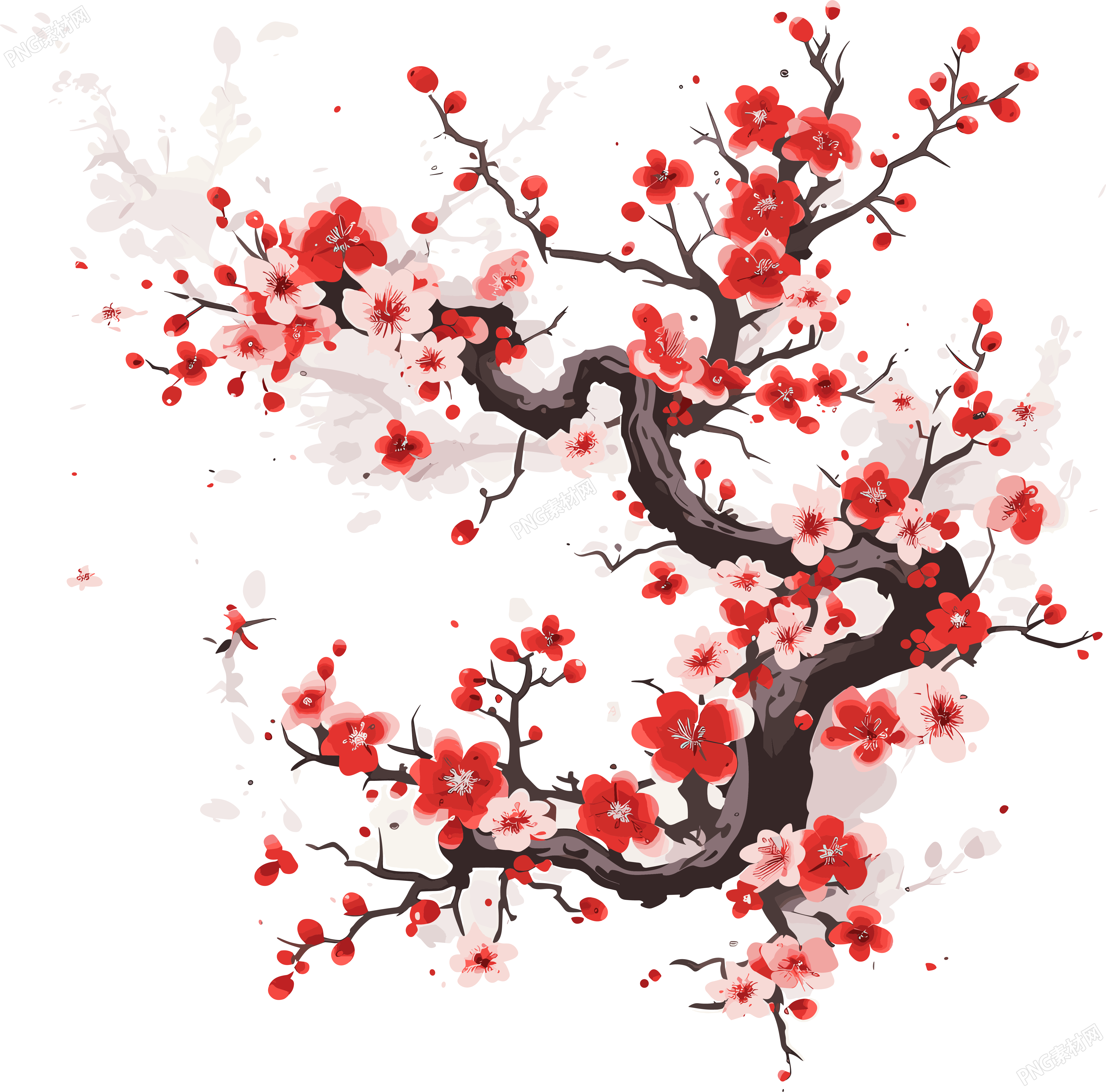 梅花插图计划