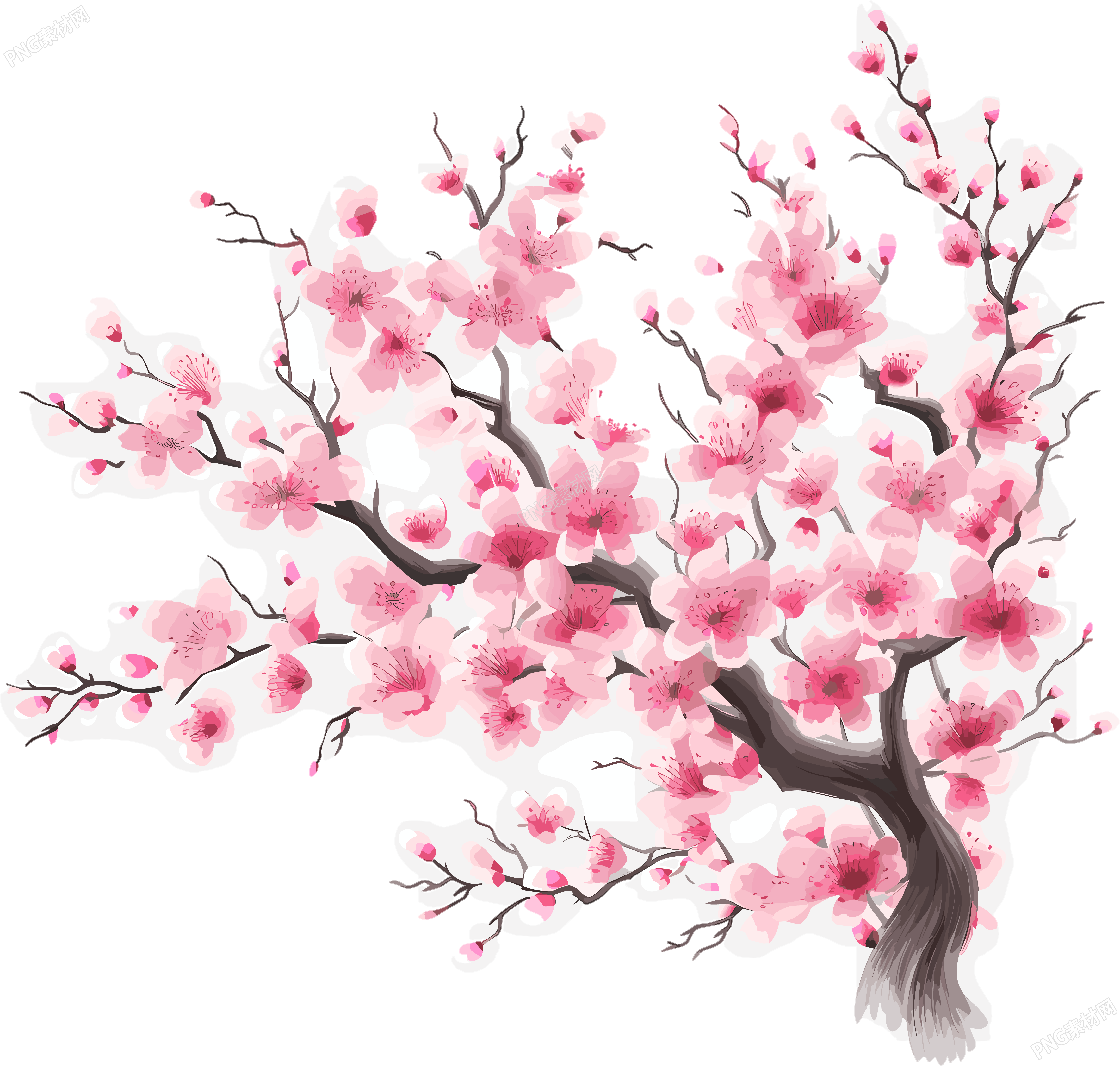 梅花插画计划