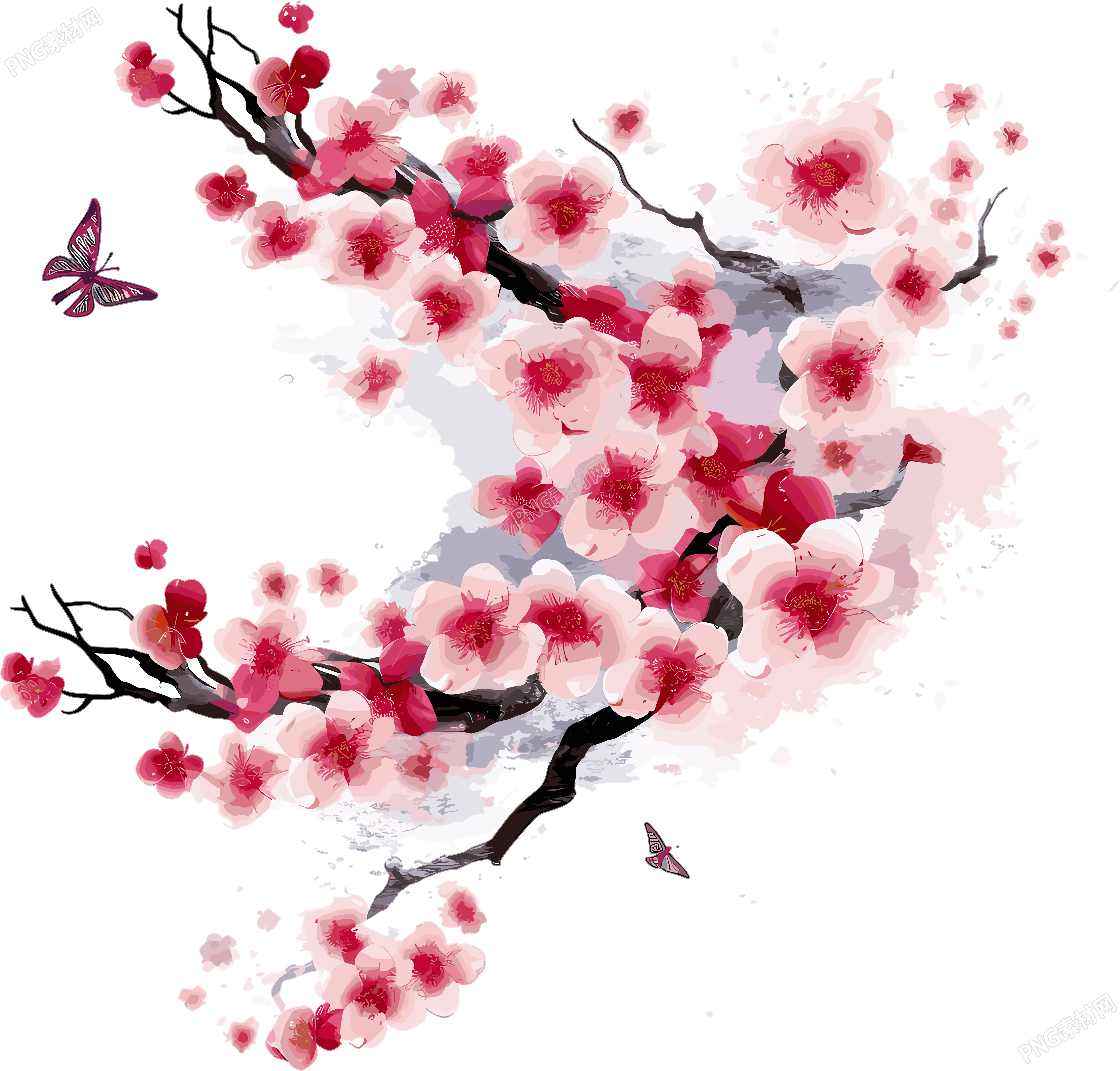 梅花插画素材