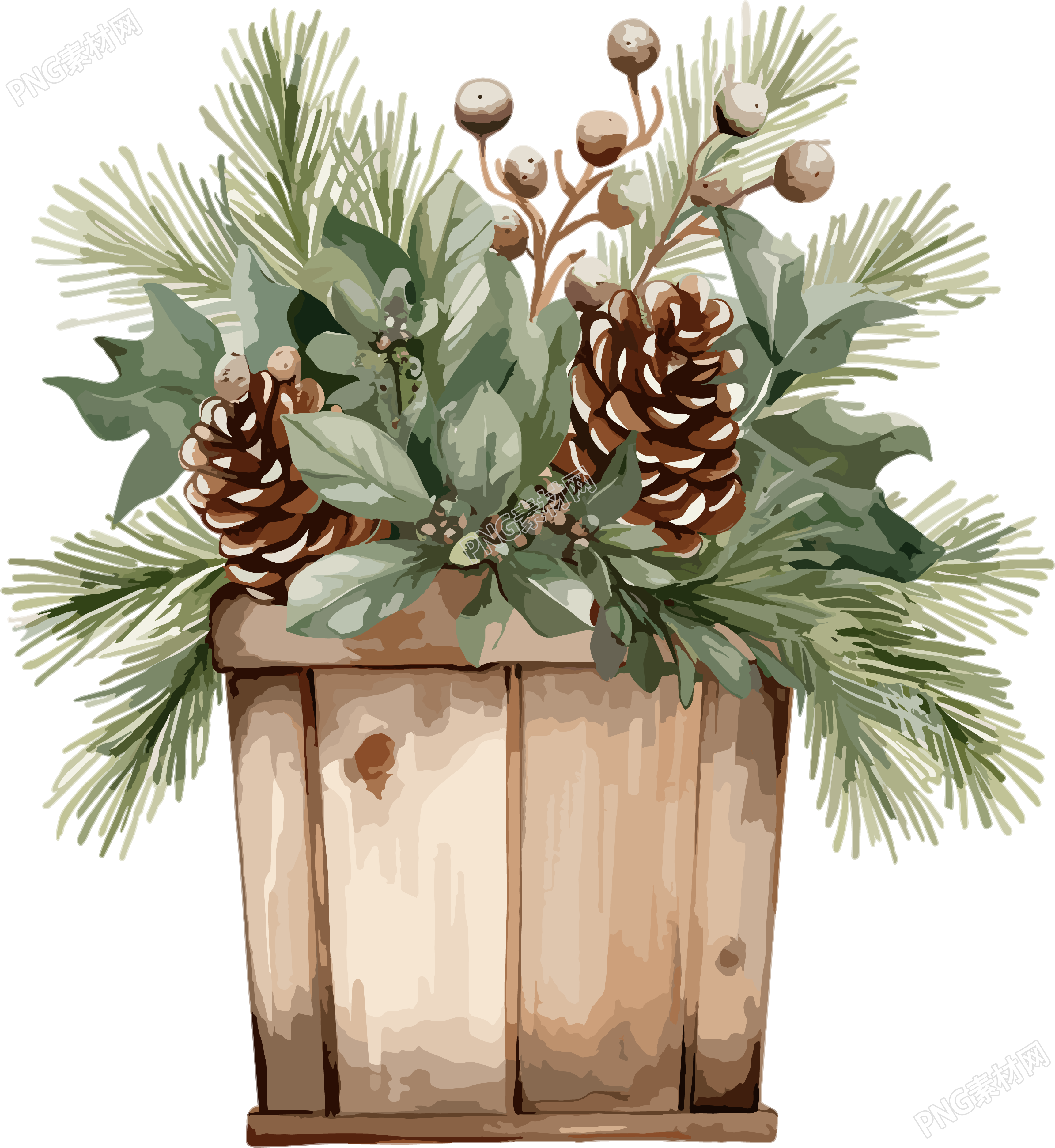圣诞节绿植盆栽插图