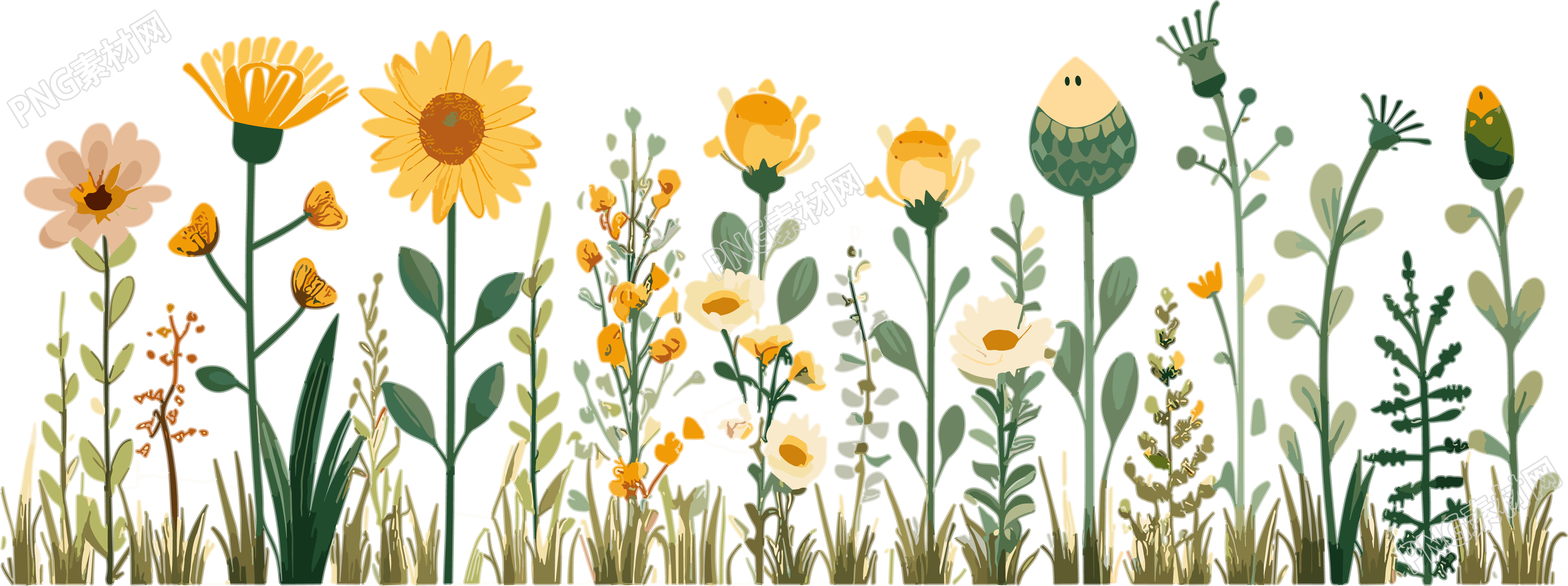 植物花边商用插画素材