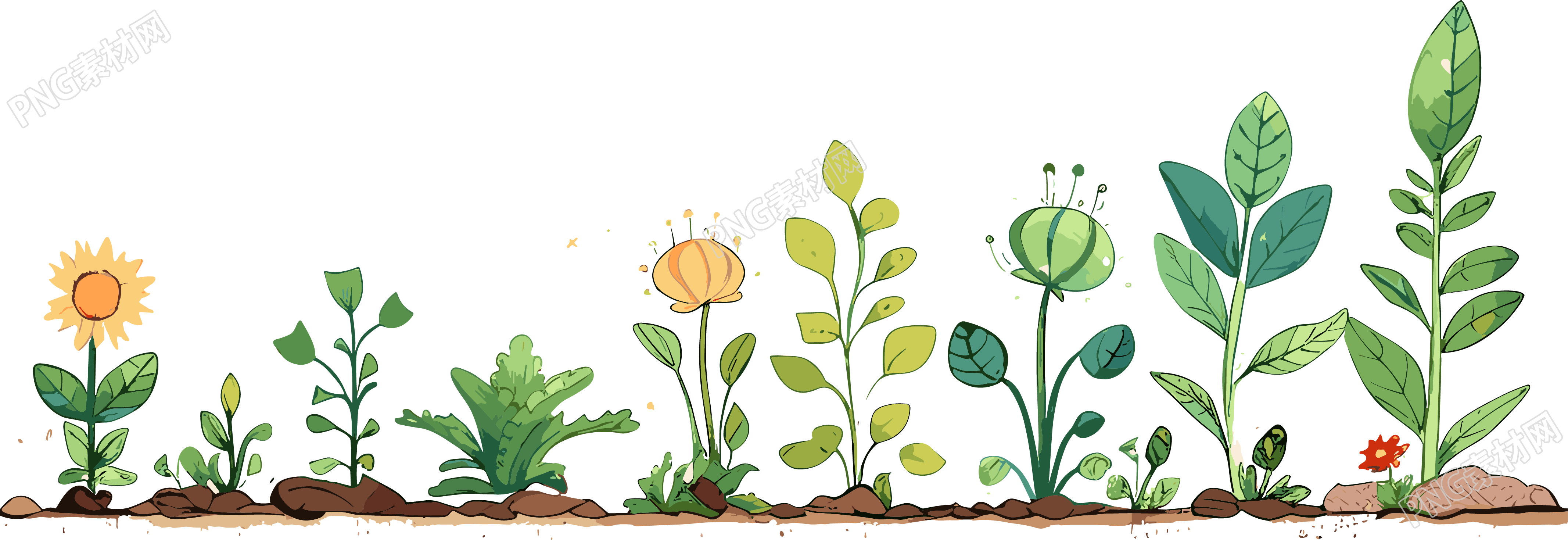 植物花边插画设计元素