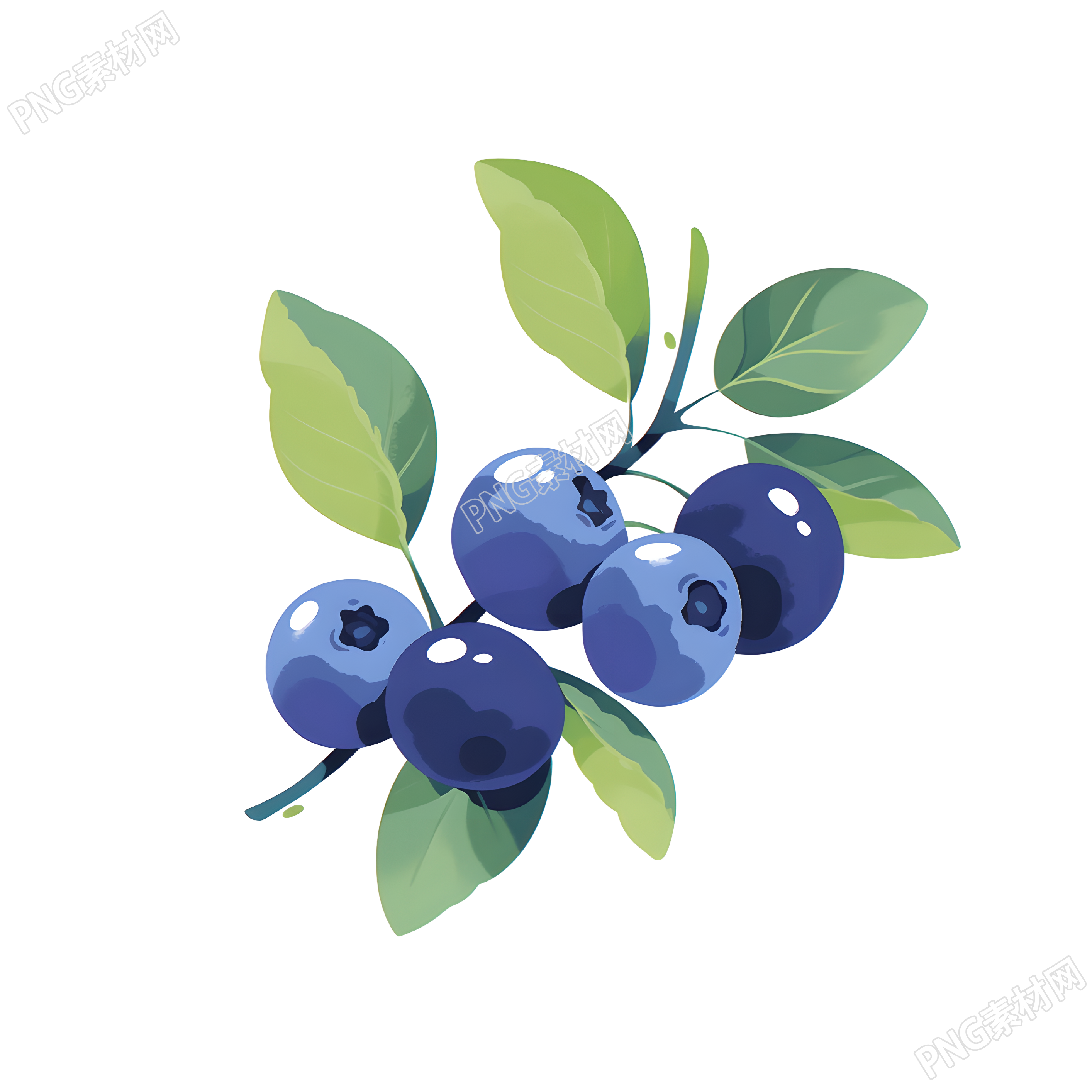 蓝莓插画素材