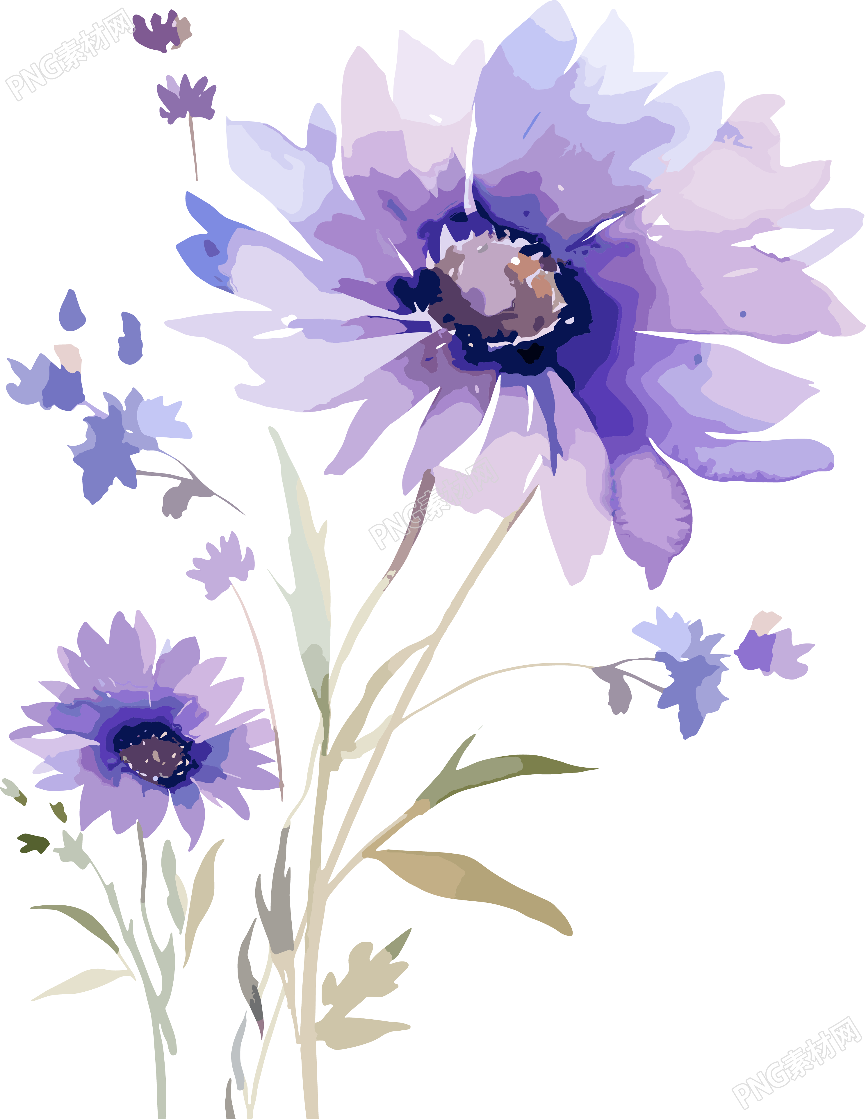 水彩花卉PNG图形素材
