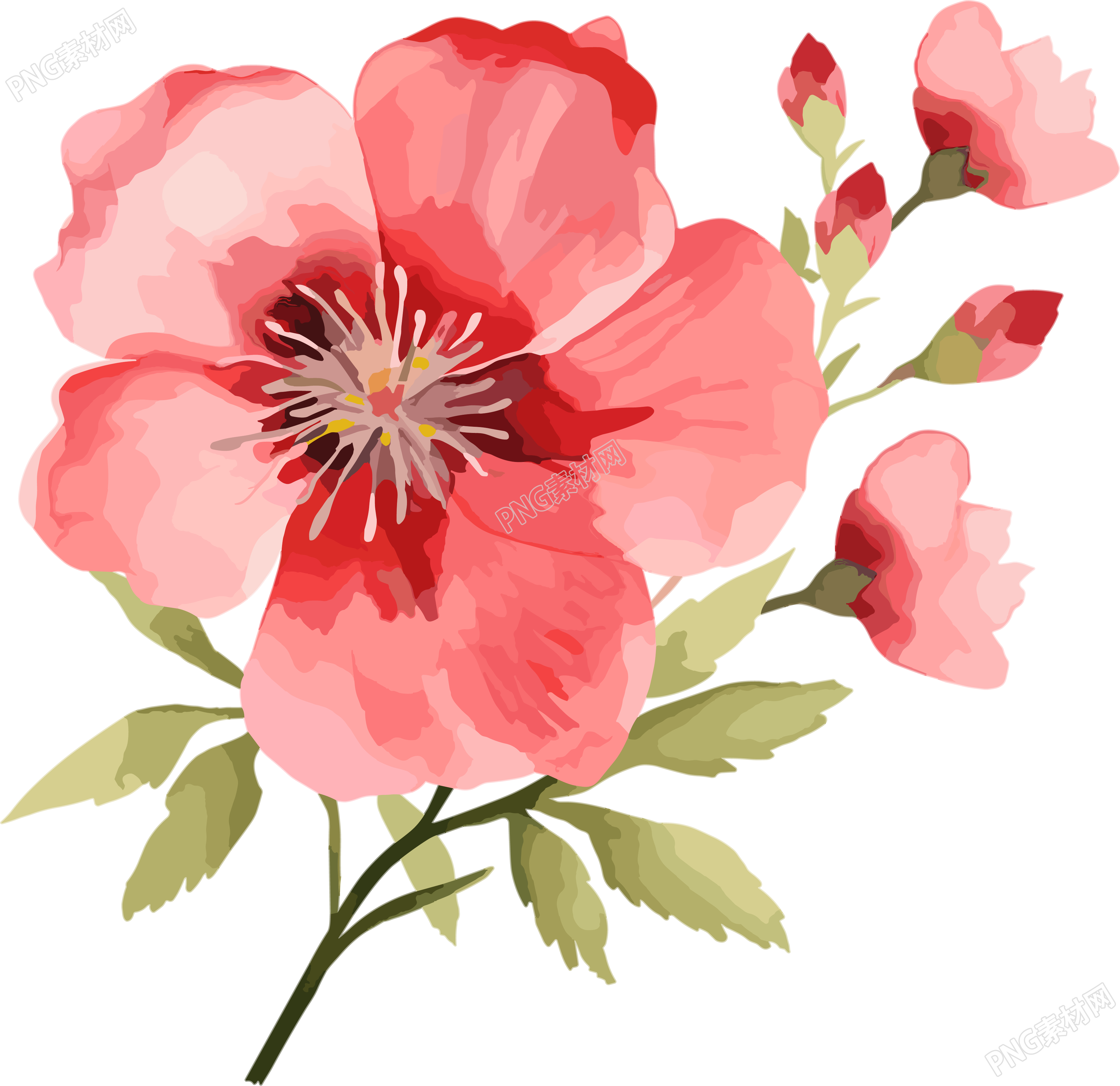 水彩花卉高清PNG图形素材